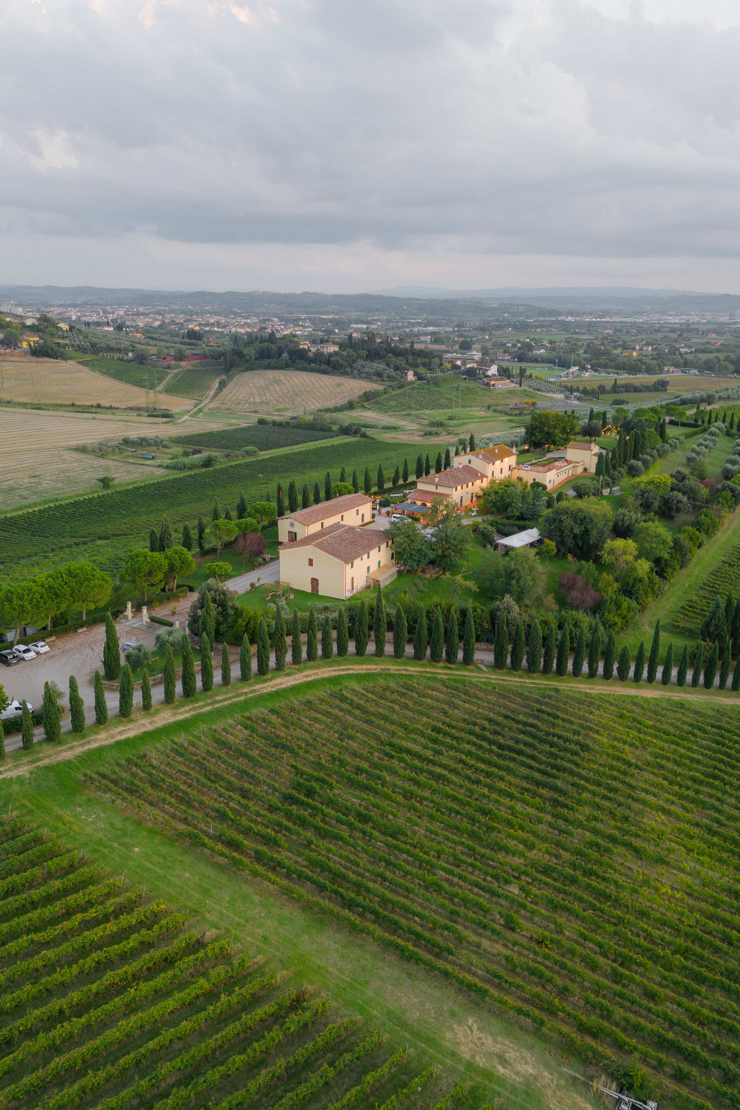 Dom&Ally. Весільний фотограф Вікторія Саврук