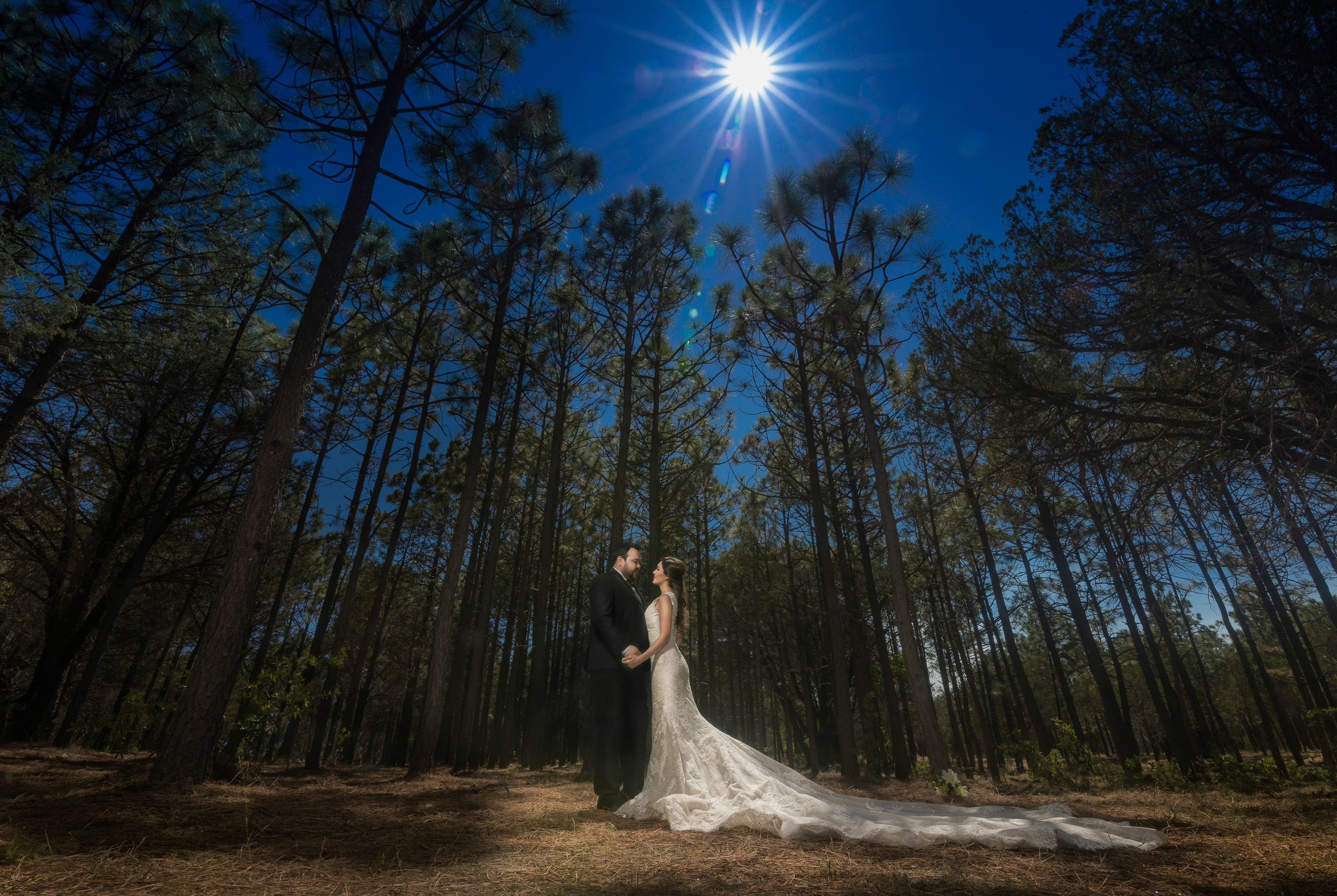 Wedding. Professional Photographer in Chihuahua, Mexico — Alex Mendoza