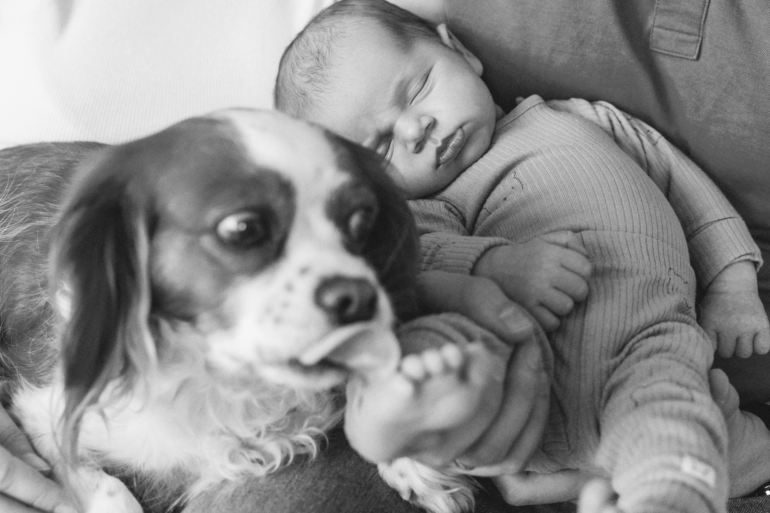 Фотосесия за новородено. Фотограф Ирина Йотова