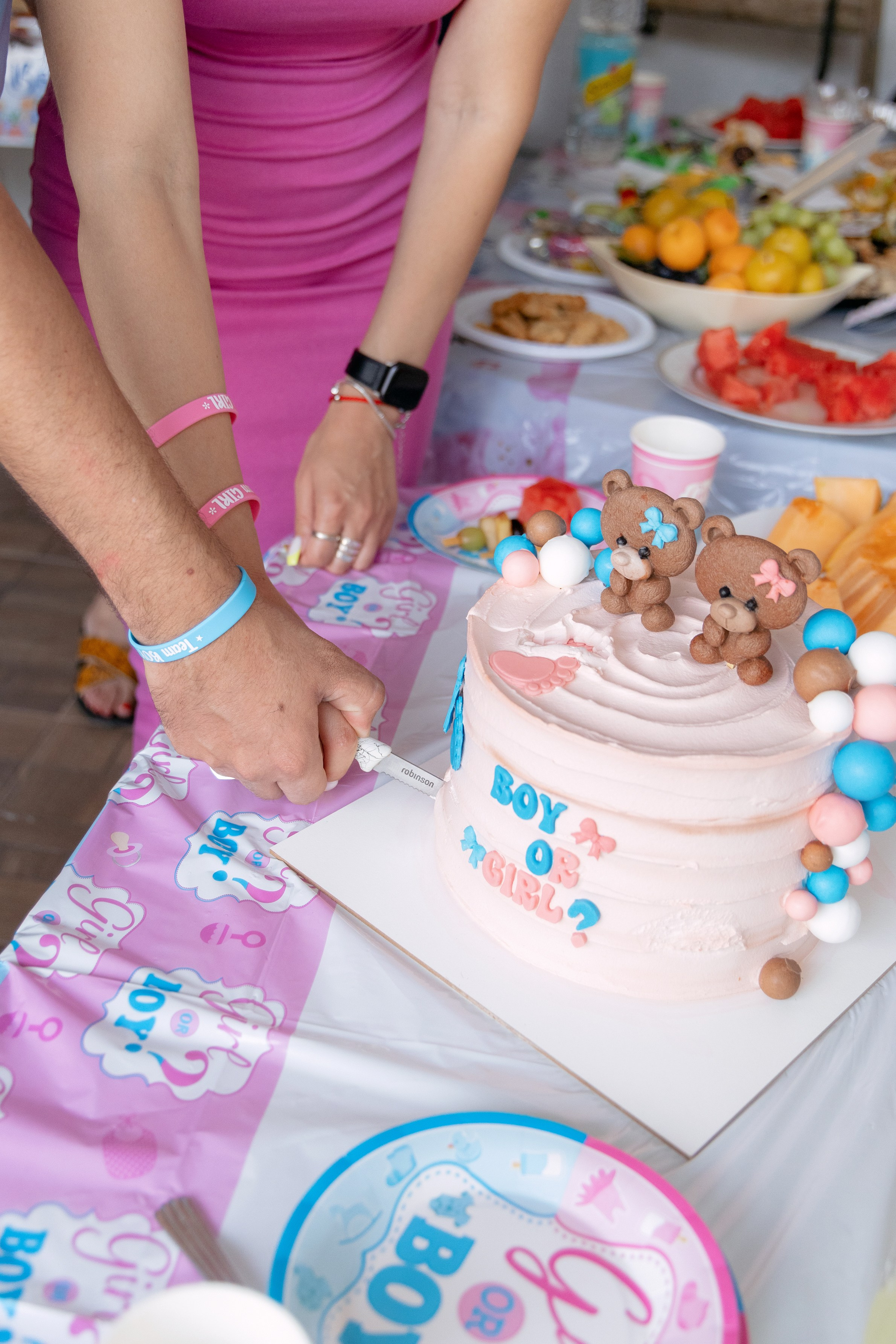 Gender Party for Alina and Michael. Home