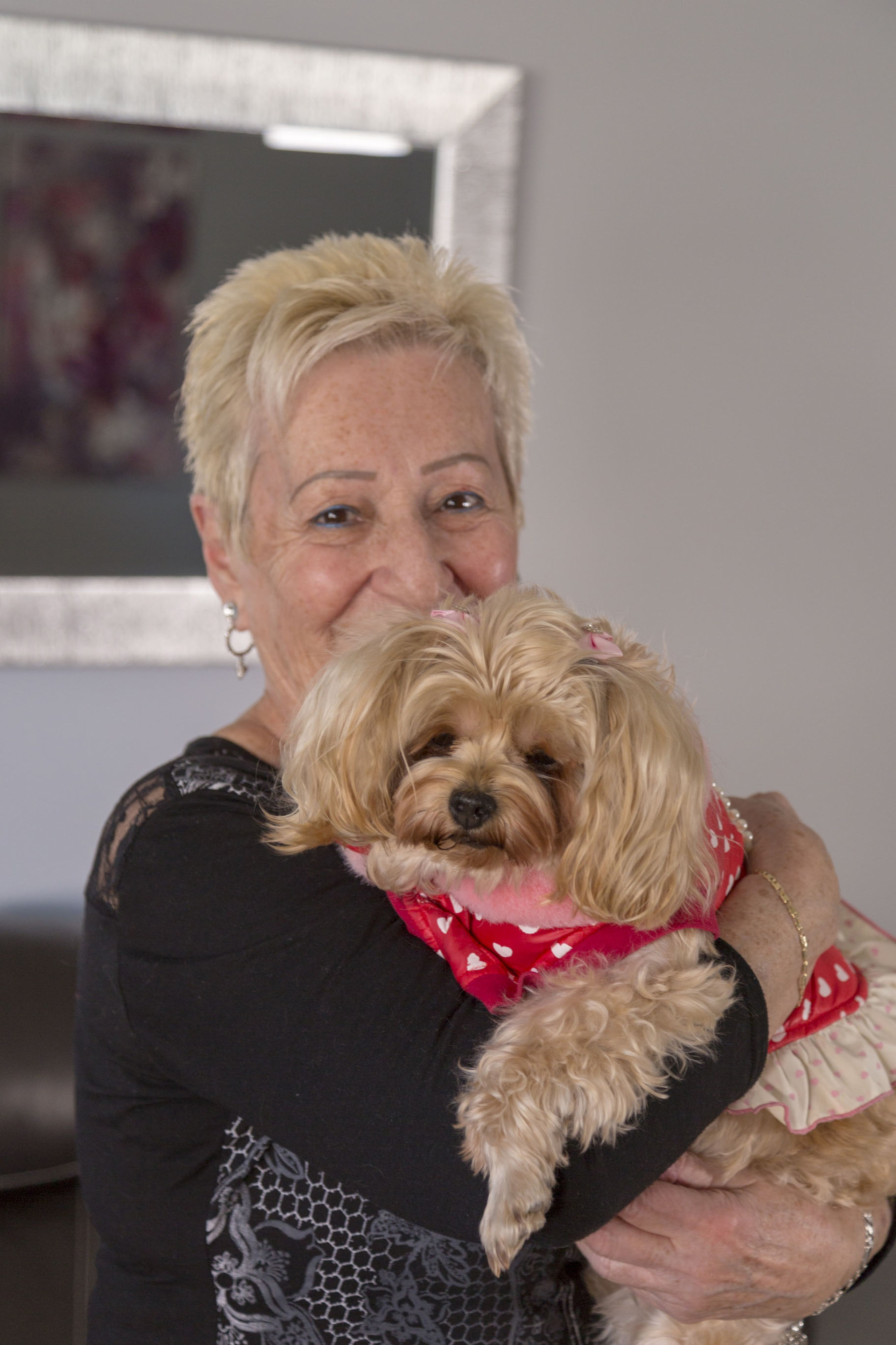 Animal de Compagnie. Studioplaza8