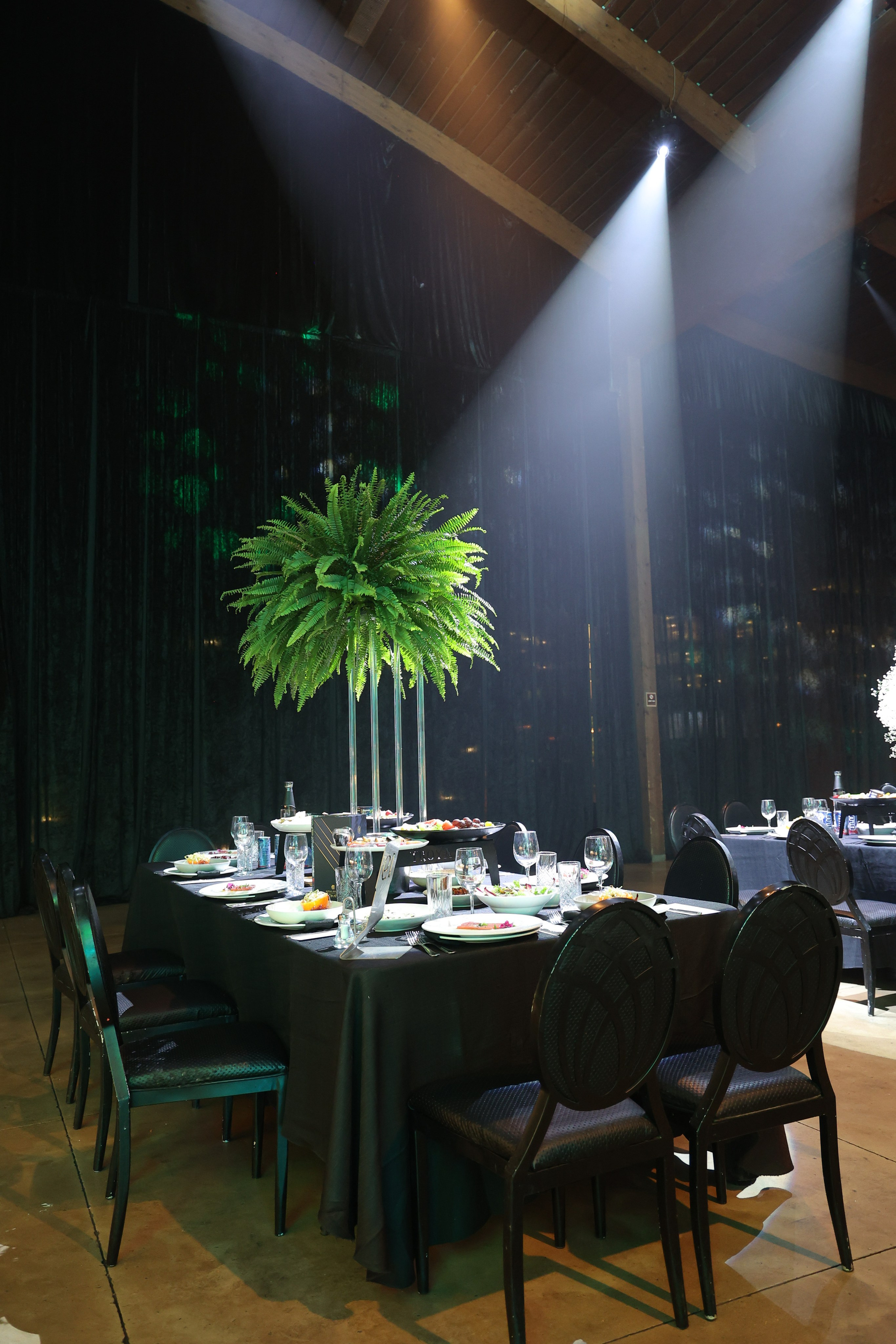 טרויה. Wedding and events photographers Studio Shalom