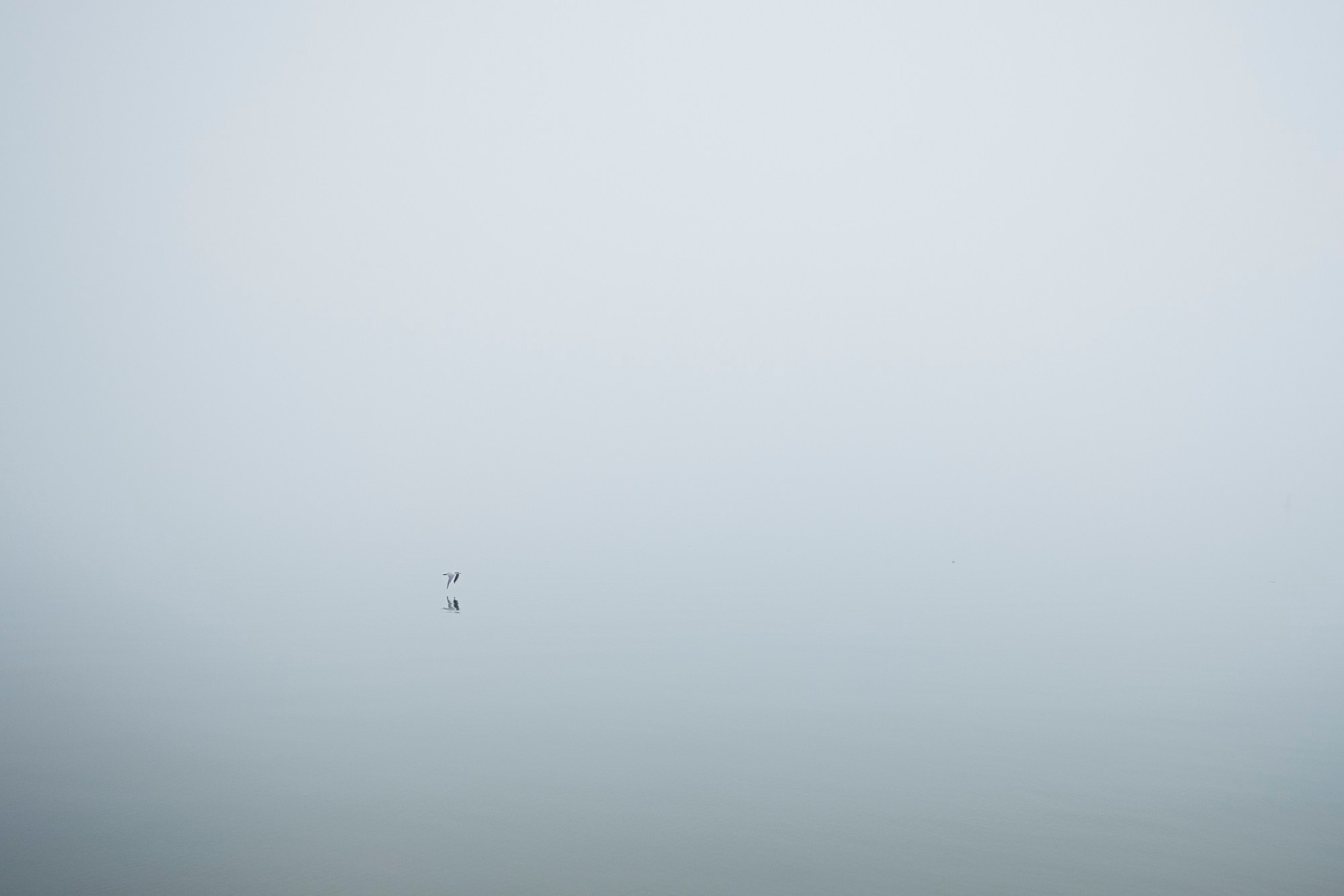 Circle. Dara Petrova