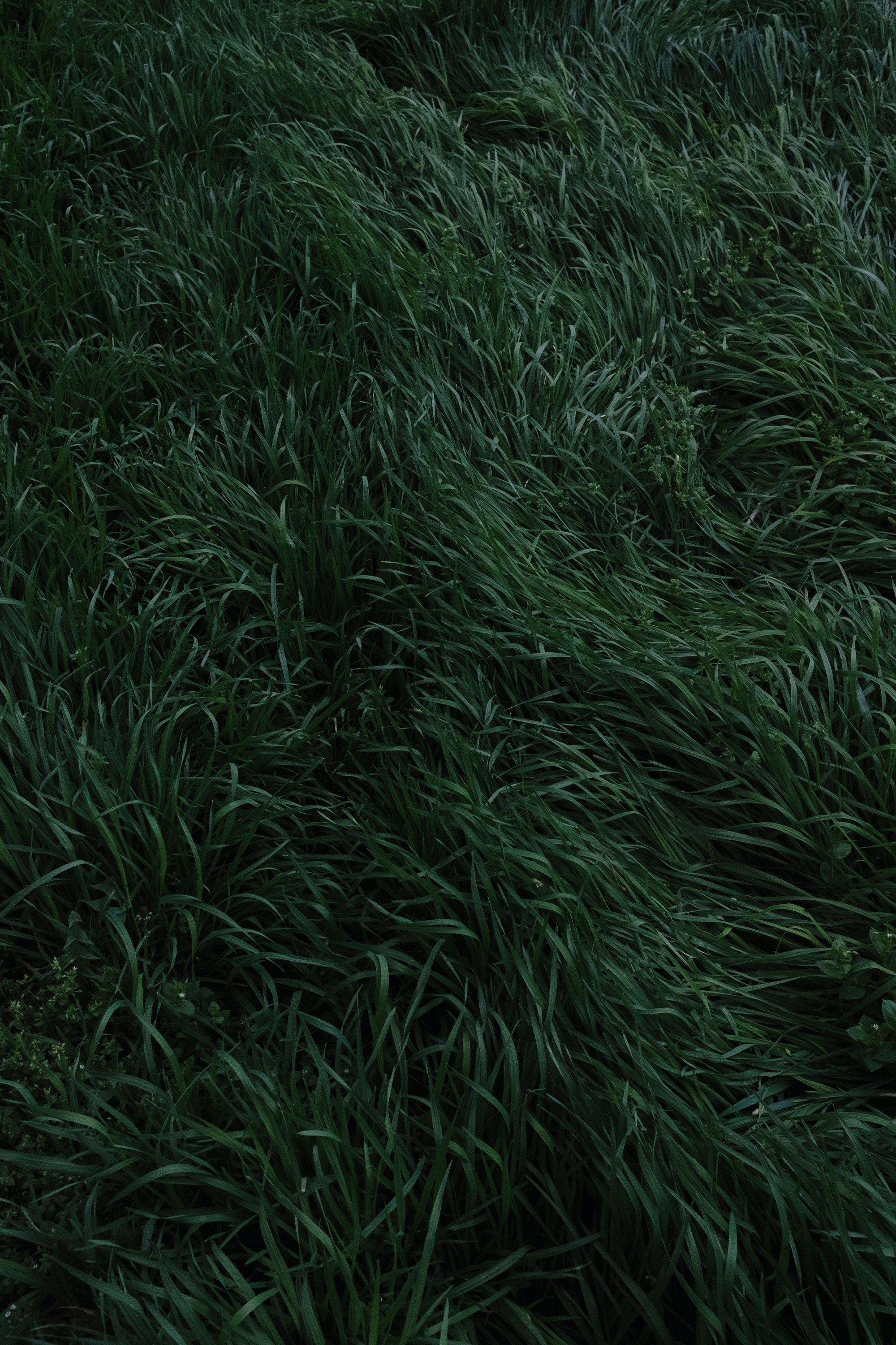 Circle. Dara Petrova