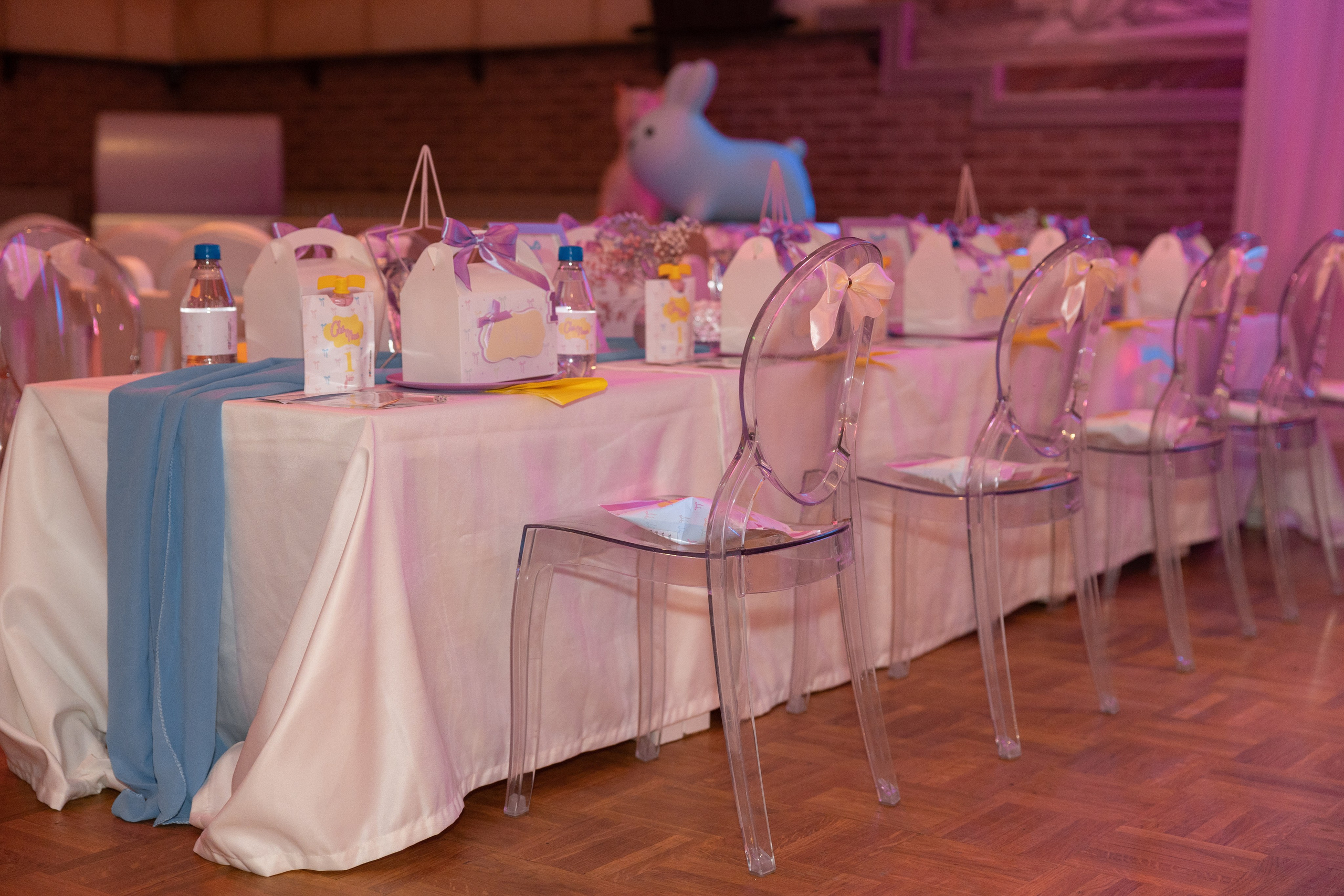 1 st Birthday. Portrait and Family Photographer in Netherlands