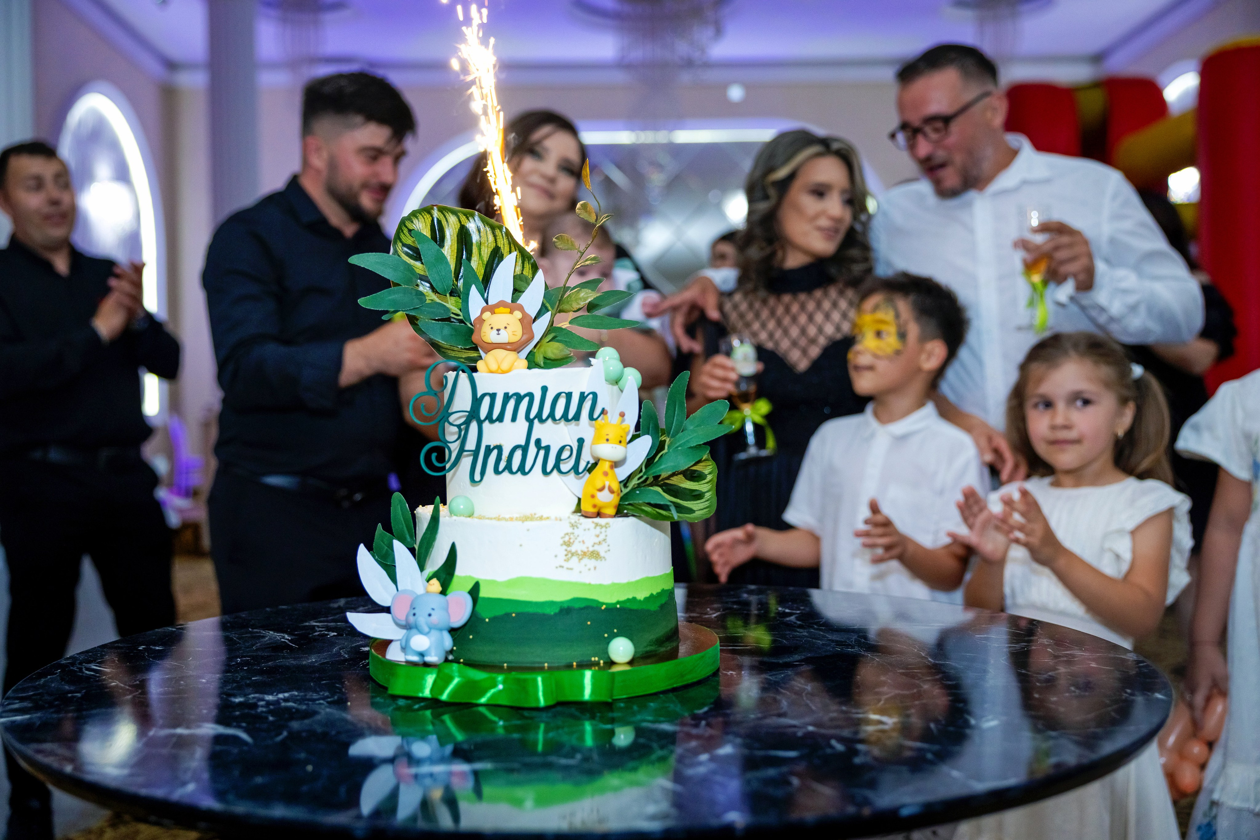 Andrei Damian. Moments By Gub