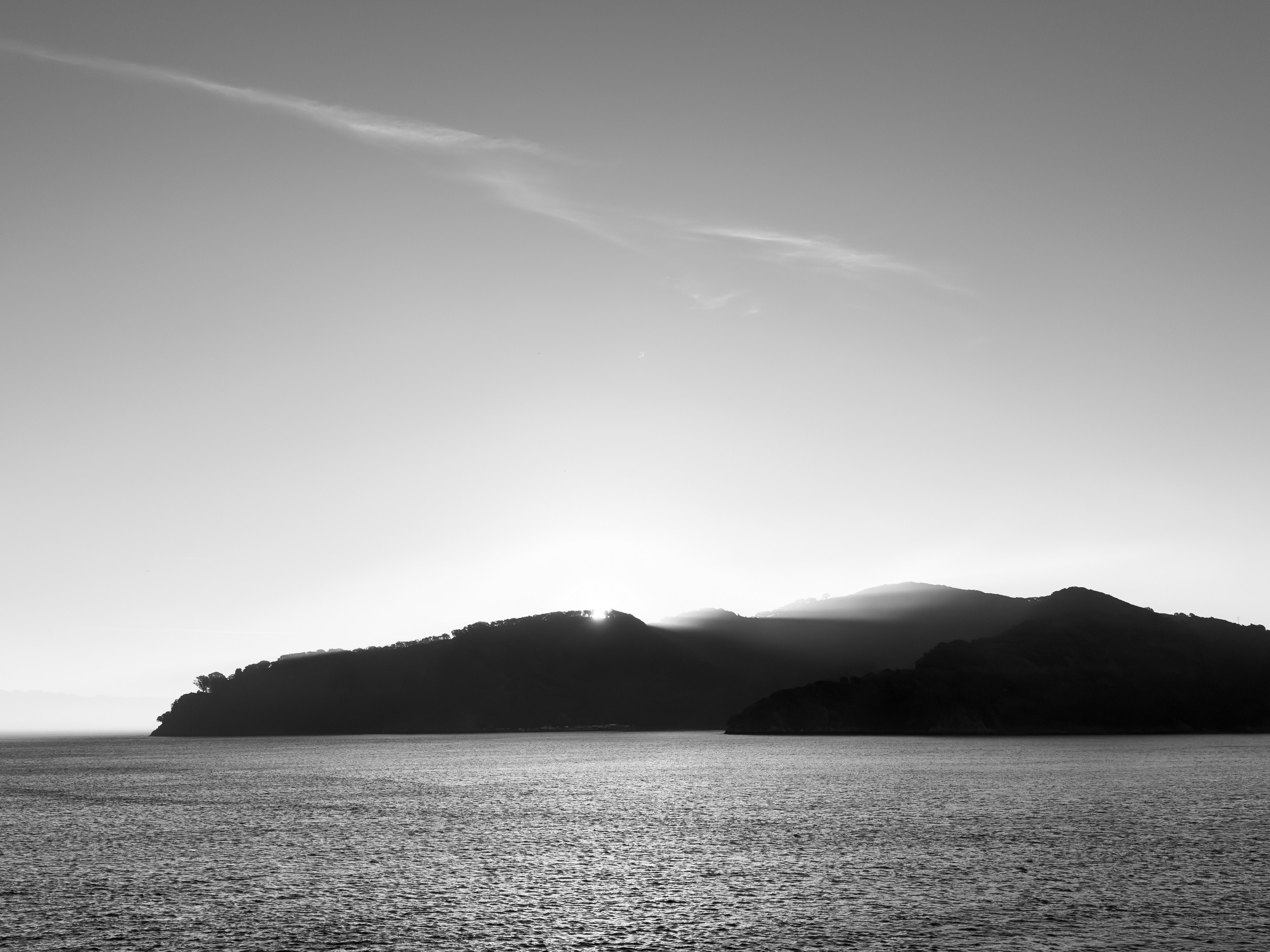 San Francisco. Aleks.photo | Book a photoshoot