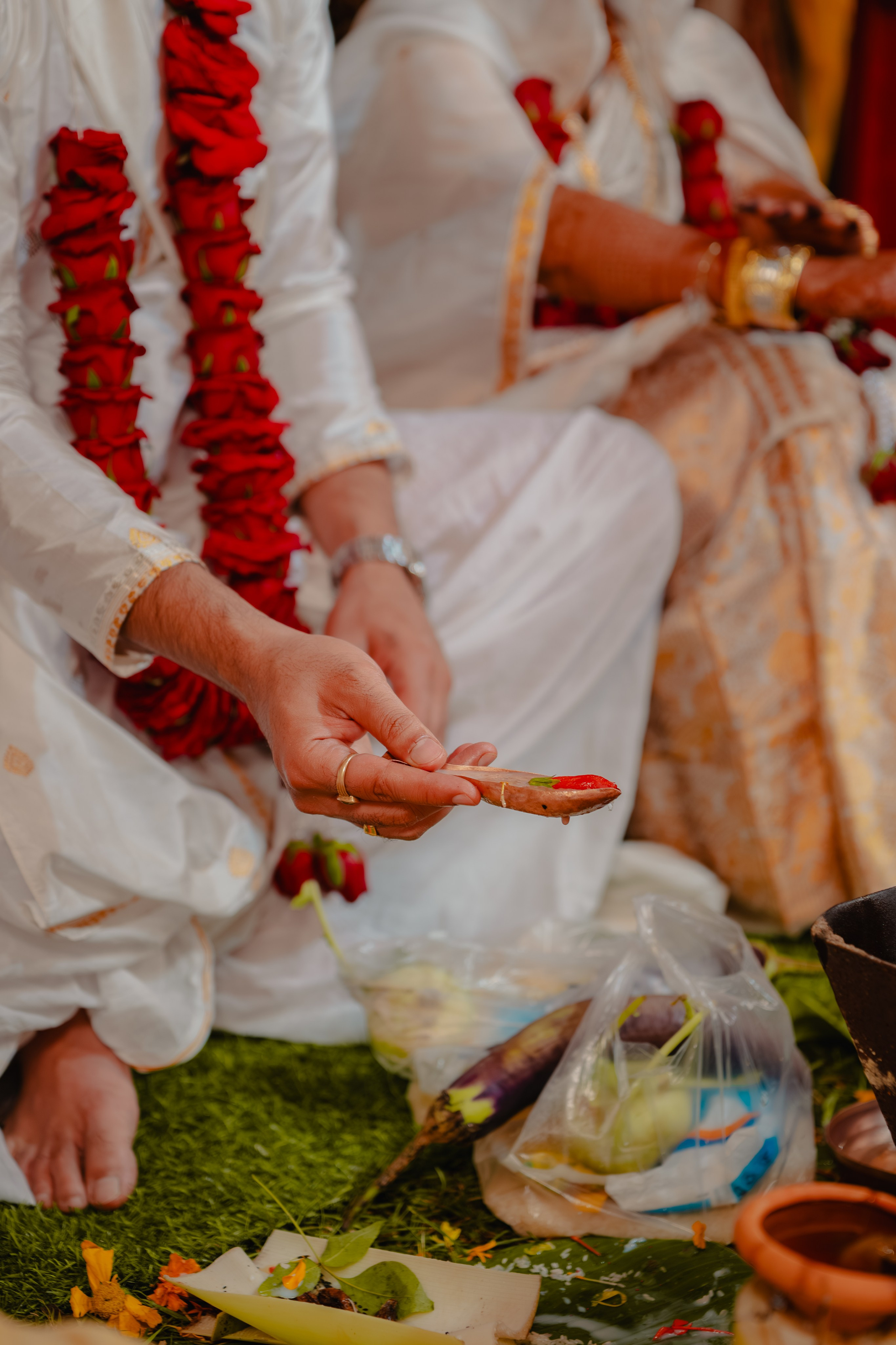 Darshana & Debabrata. Wedding and Family photographer in india