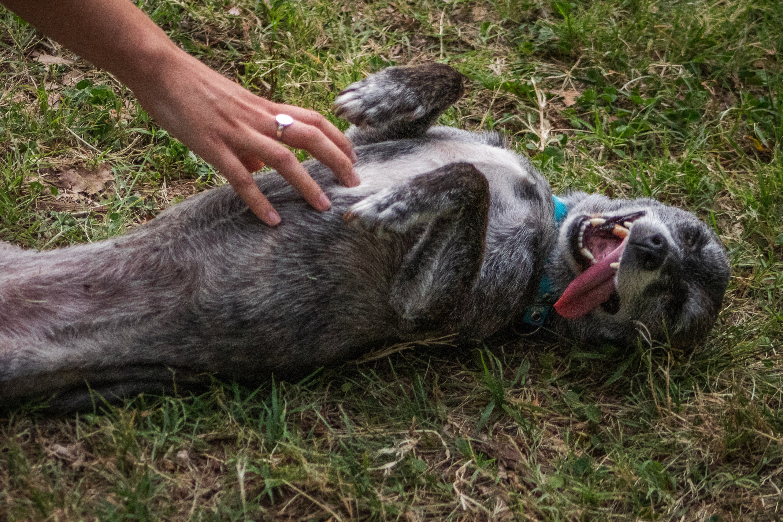 Maya & Pablo. Fotógrafo en Mendoza Alexander Safonov