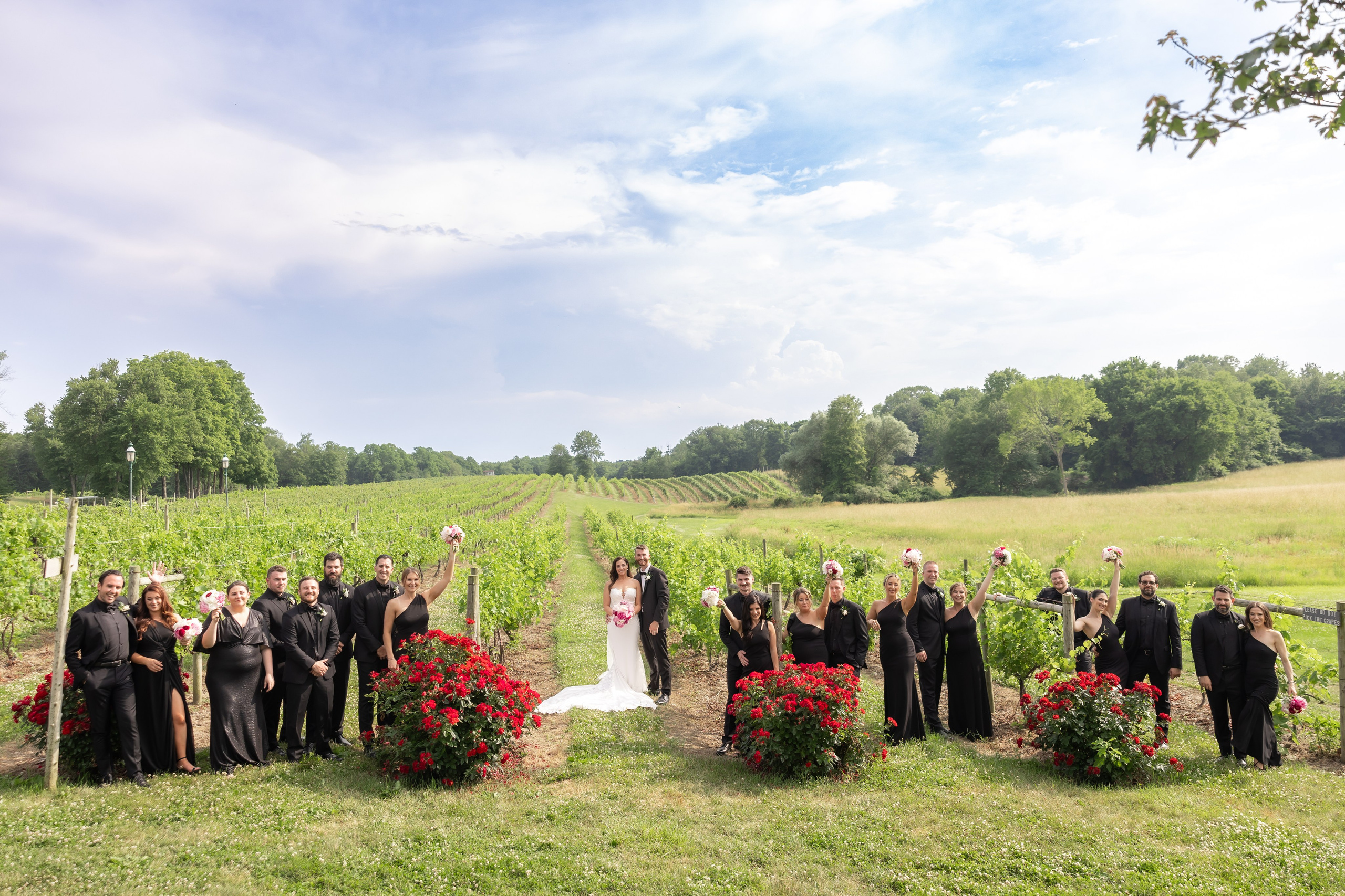 Angelica & Conor. Wedding Photo & Video