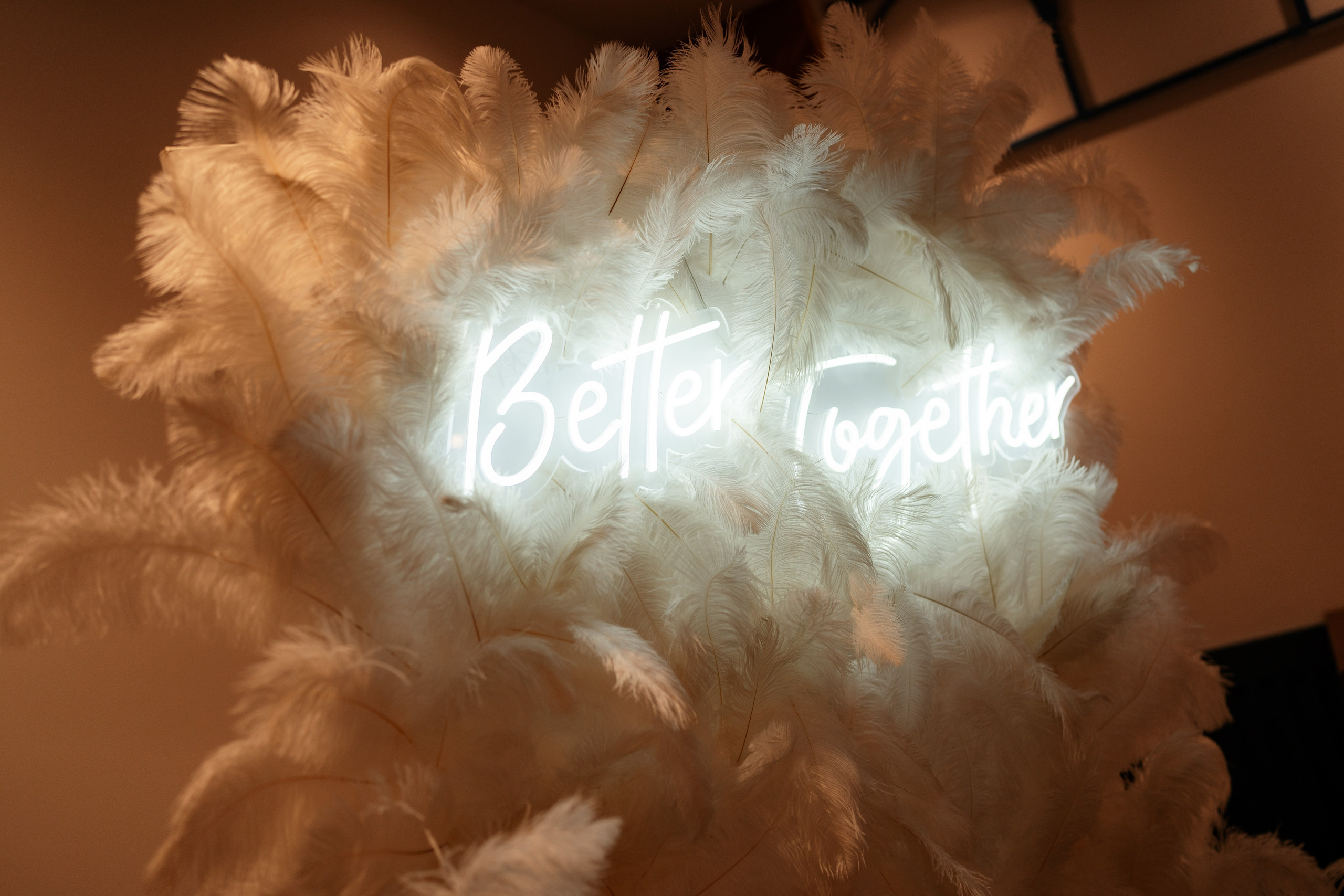 Madisson & Alex. Destination Wedding Photographer Alex Pasarelu