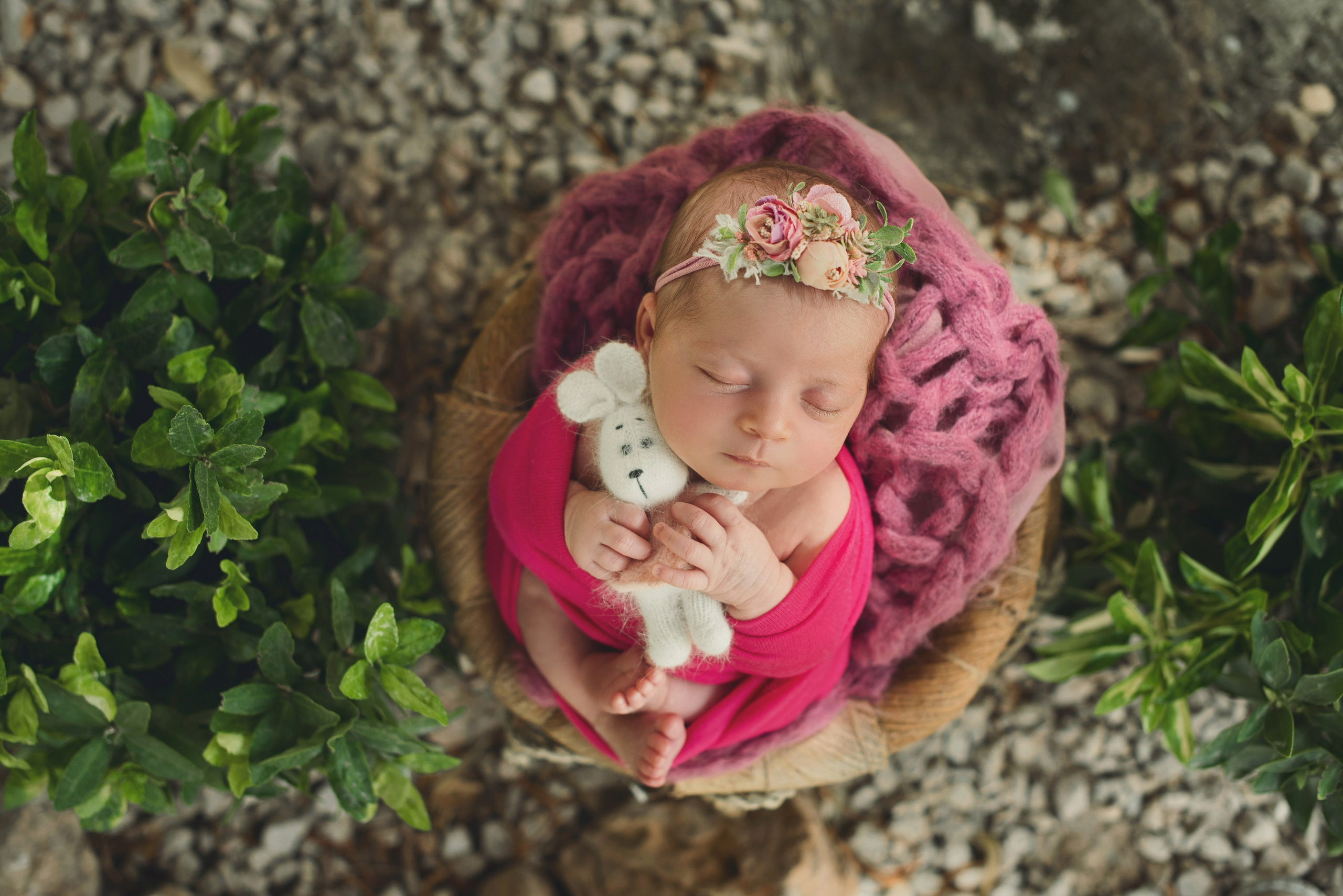 Naturaleza. Https://newbornphoto.wfolio.pro/me