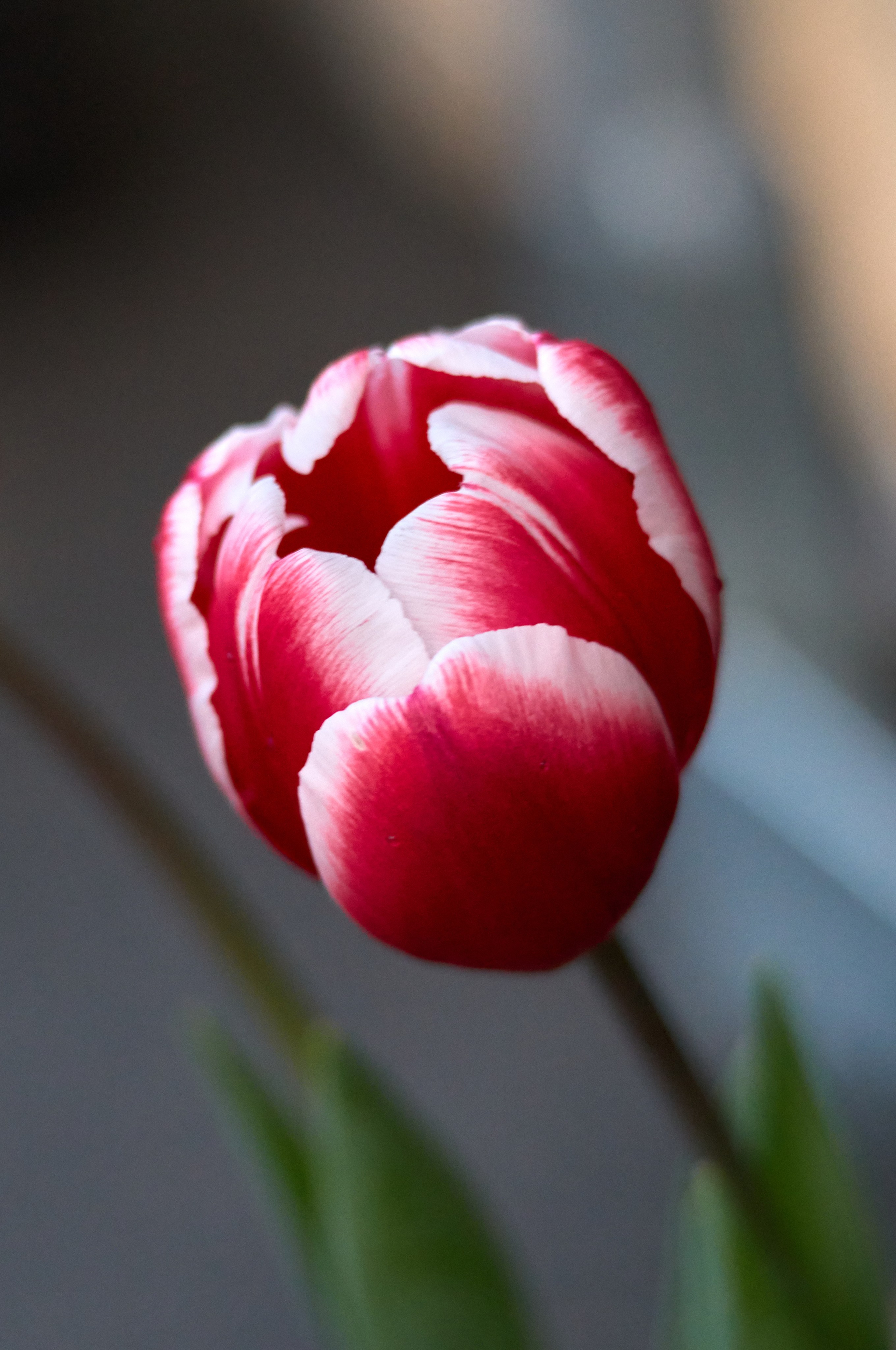 Природа. Photographer Нелли Биева