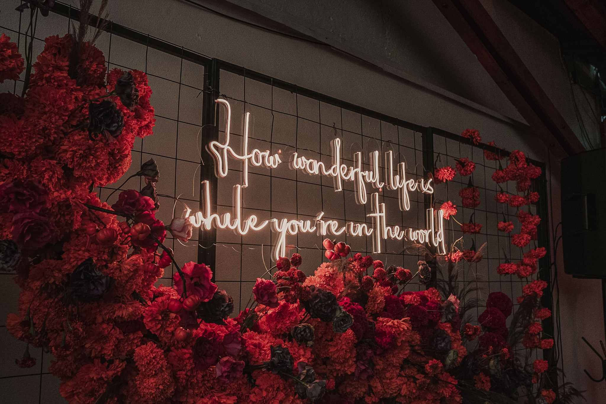 Daniela & Jose. Wedding and family photographer in Mexico City