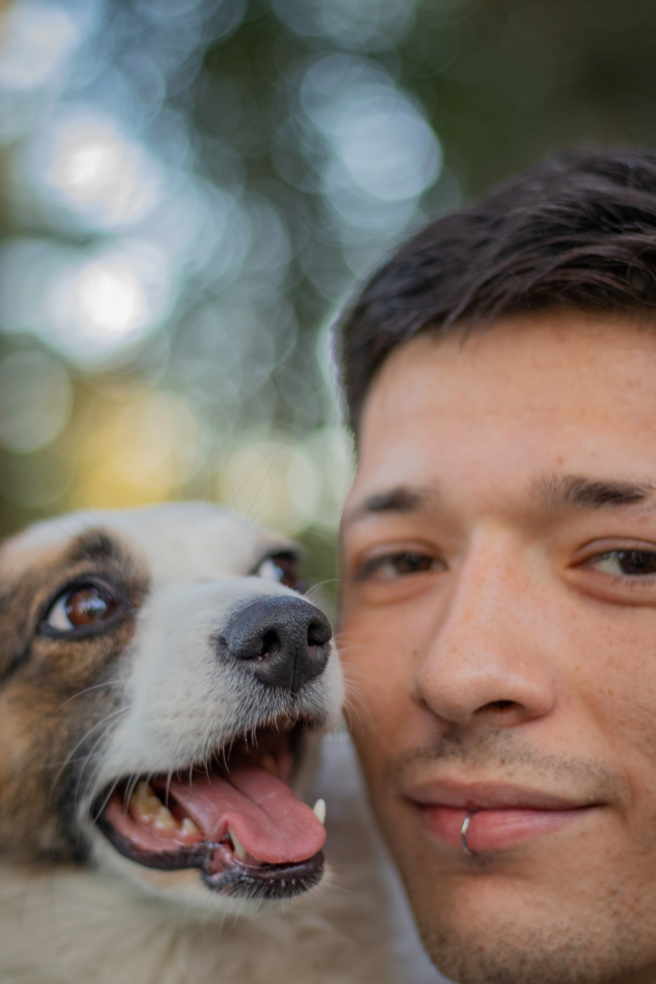 retrato de mascota en mendoza