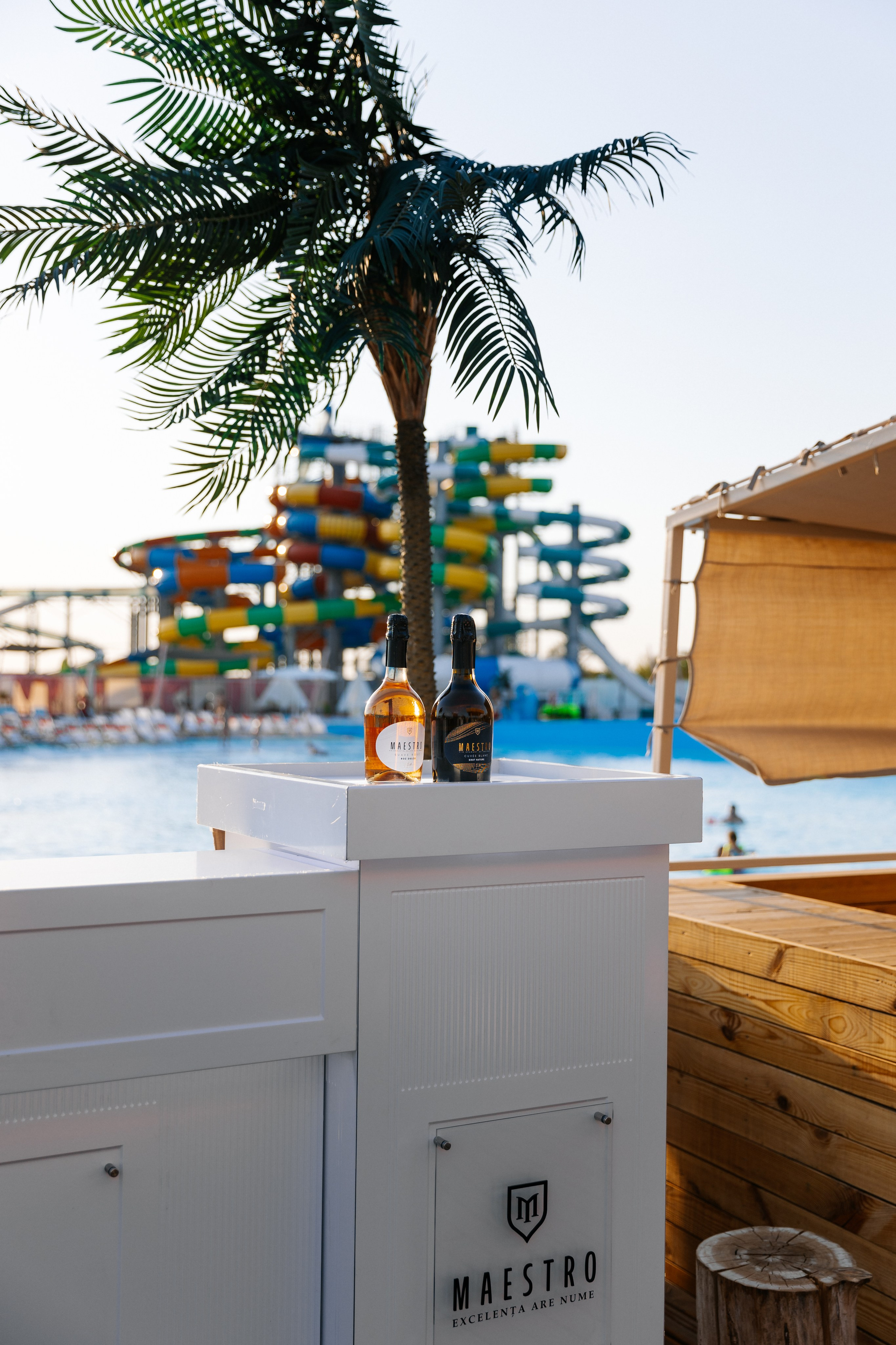 TOP SEXY — VIP MAGAZIN. Fulga Photographer