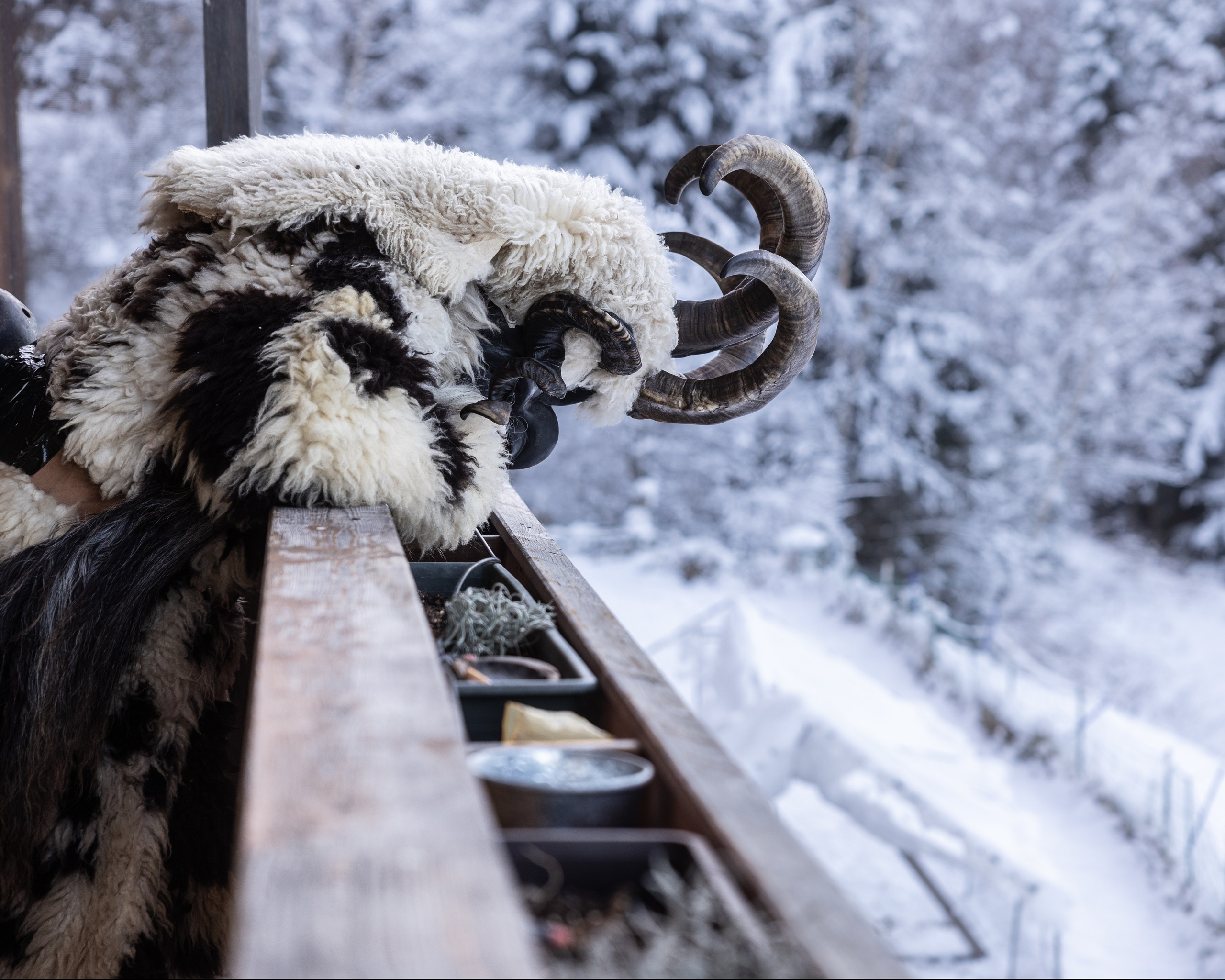 SILBERKRUG PASS, Bad Gastein, 05.12.2024. Guzel Kolobova| Fotografin| Salzburg