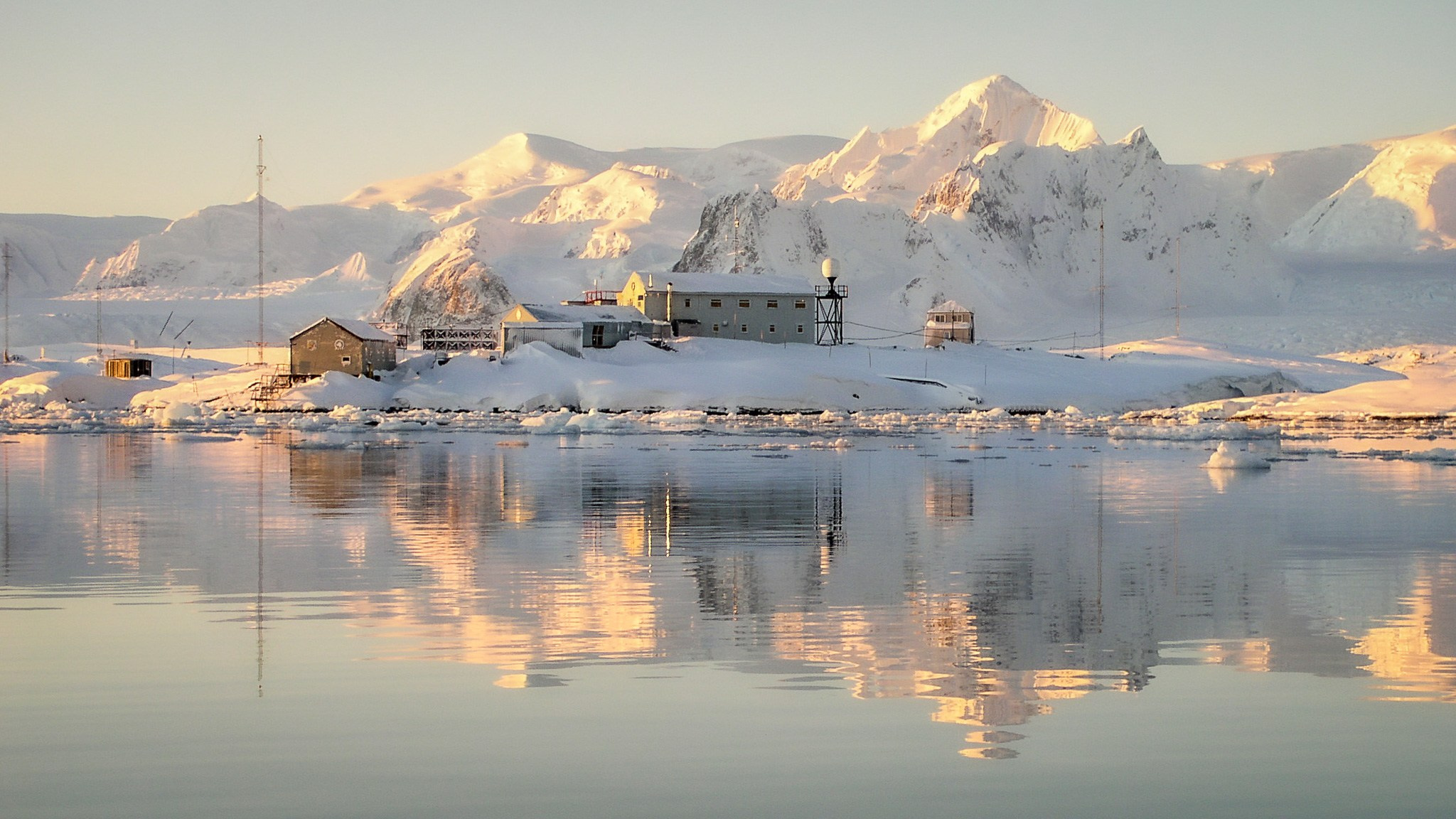 ANTARCTICA / 2004. Reportage concert portrait photography in the San Francisco Bay Area