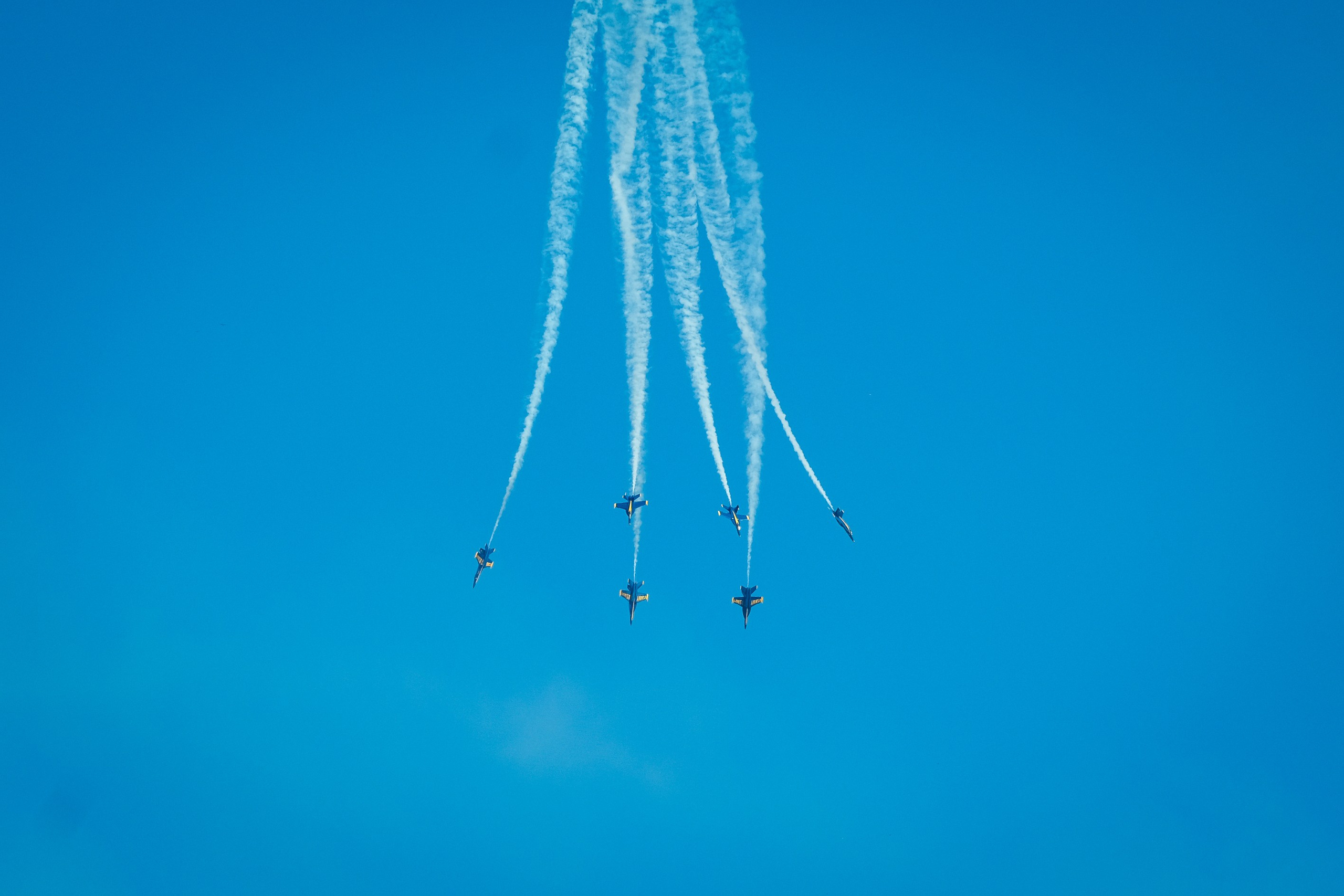 BLUE ANGEL. Reportage concert portrait photography in the San Francisco Bay Area