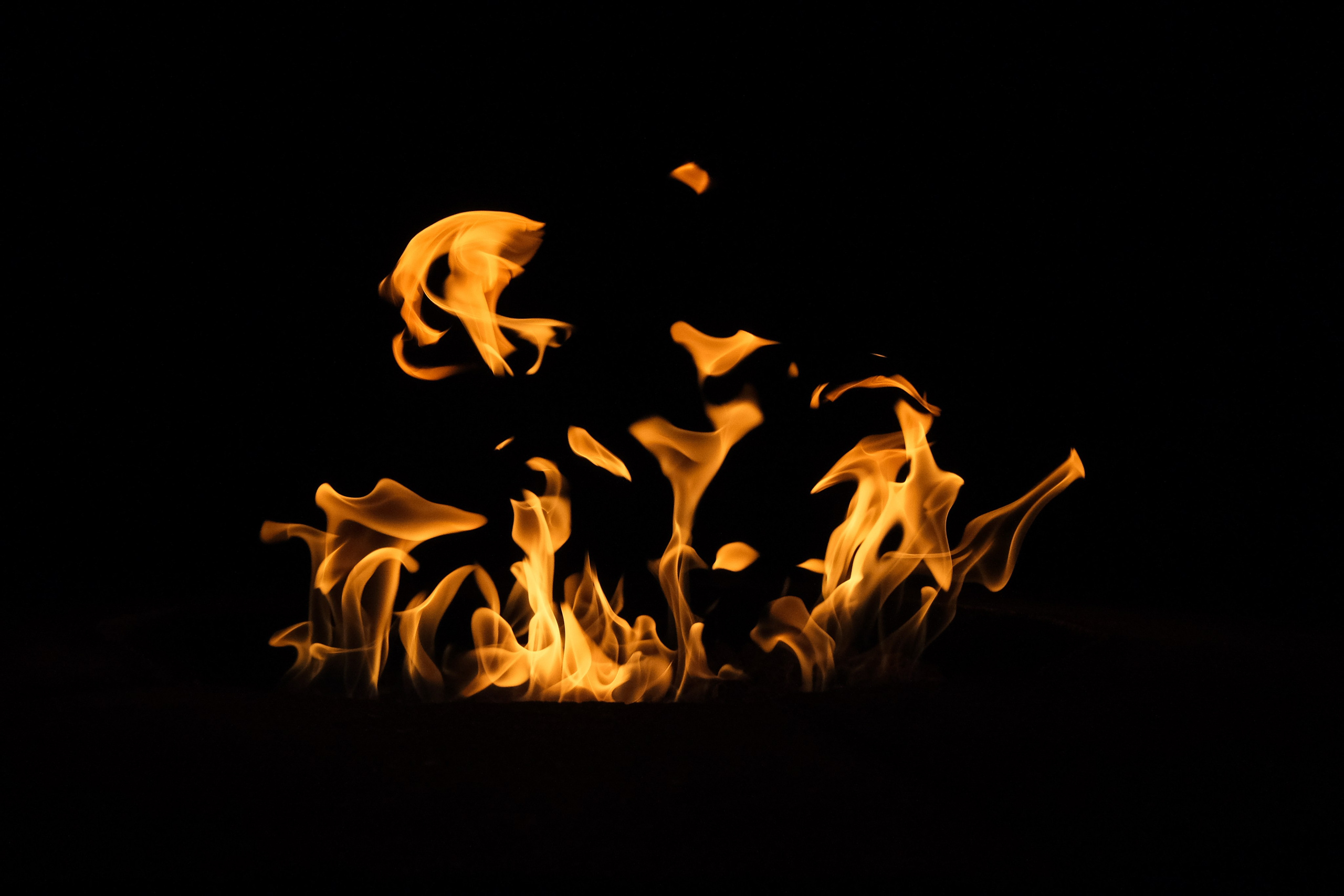 VATRA. Reportage concert portrait photography in the San Francisco Bay Area