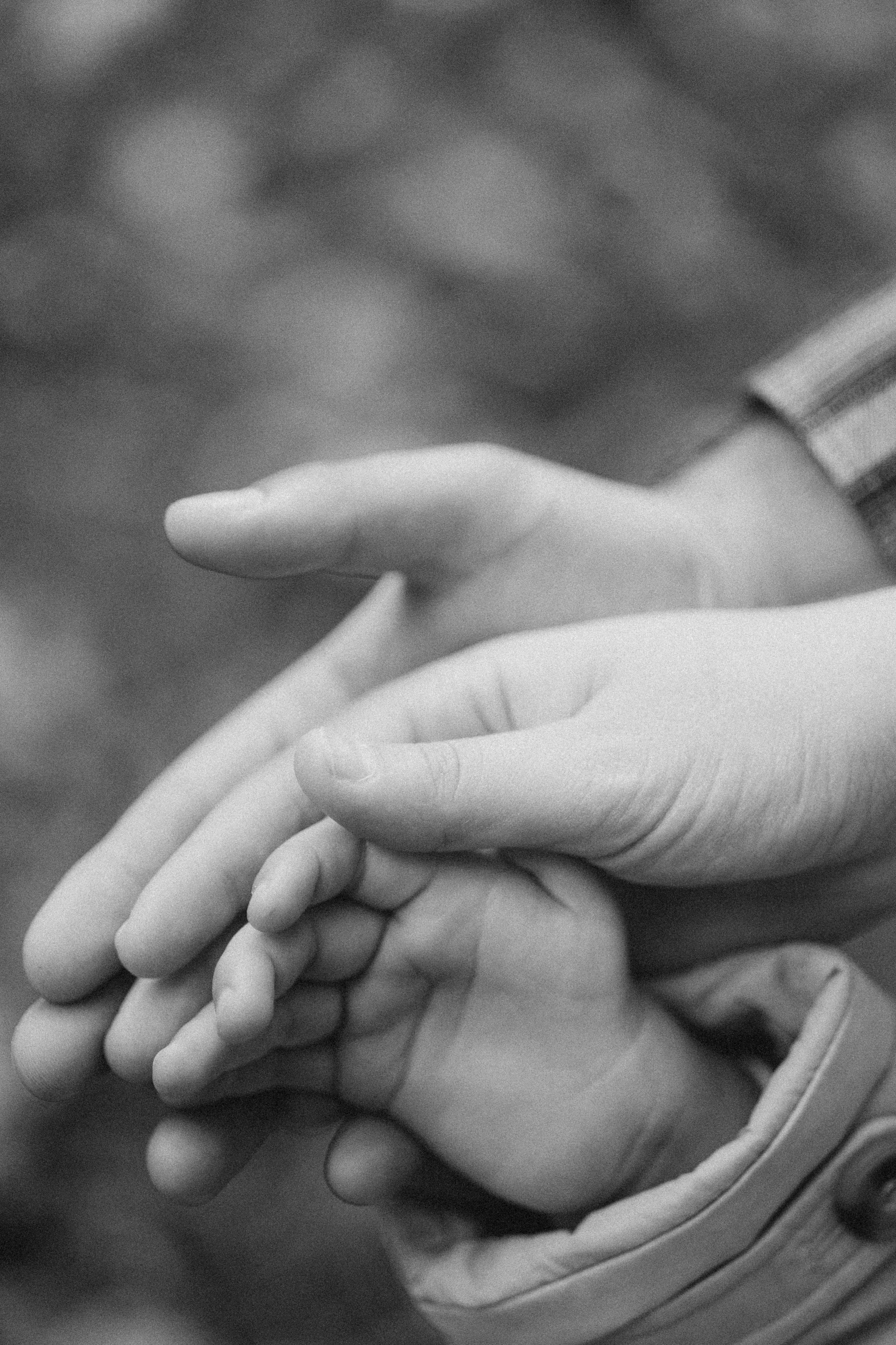 Fall Family Story. Chernenko.photography