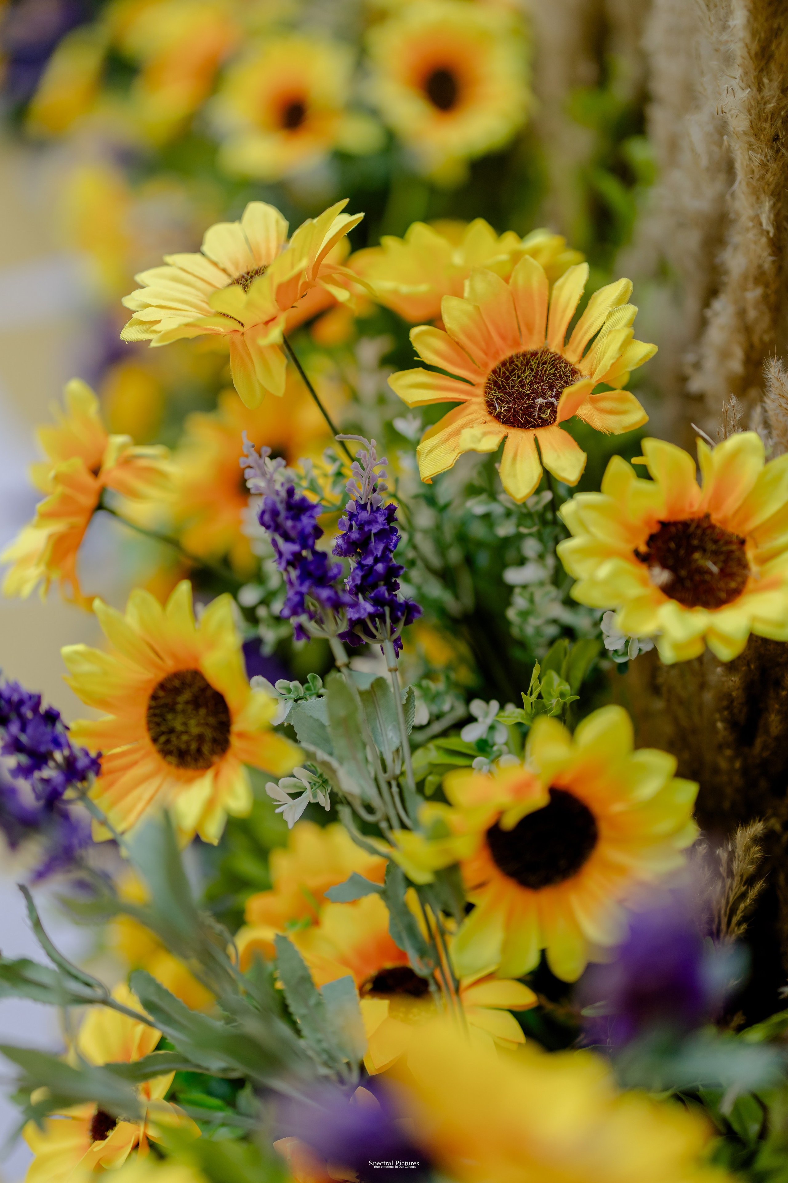 “Bob’s Bar to The Big Day — Starring Amulya & Aditya”