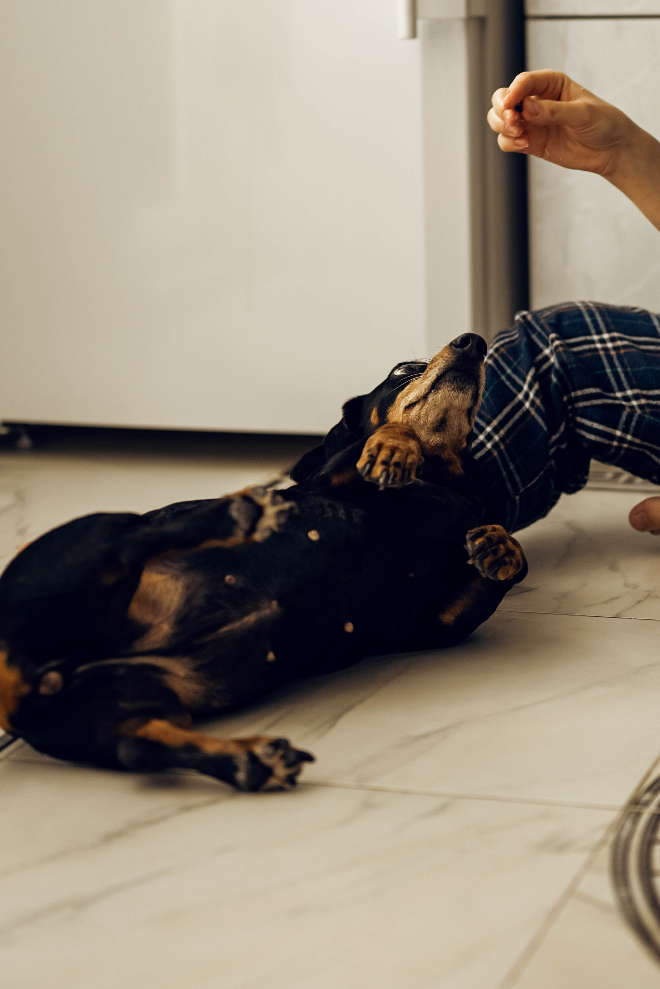 Александра, Николай, Соломия. Фотограф Ирина Новикова