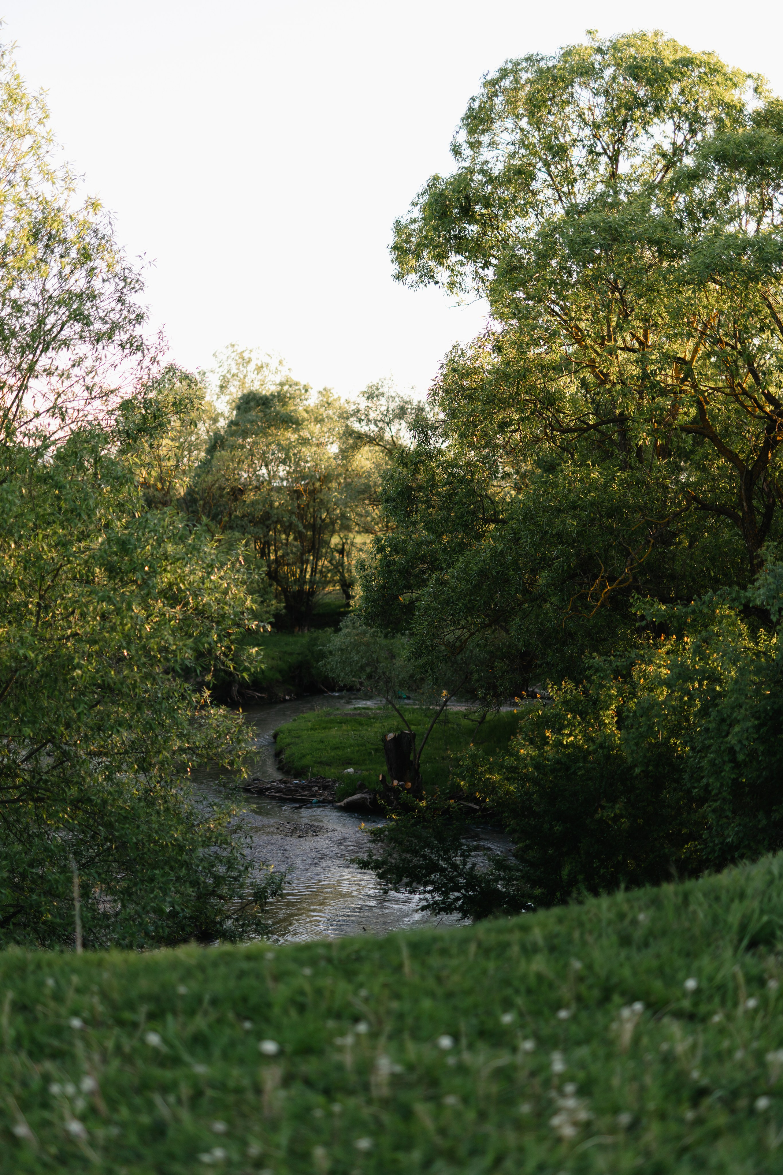 Cristina — Portrait. Main