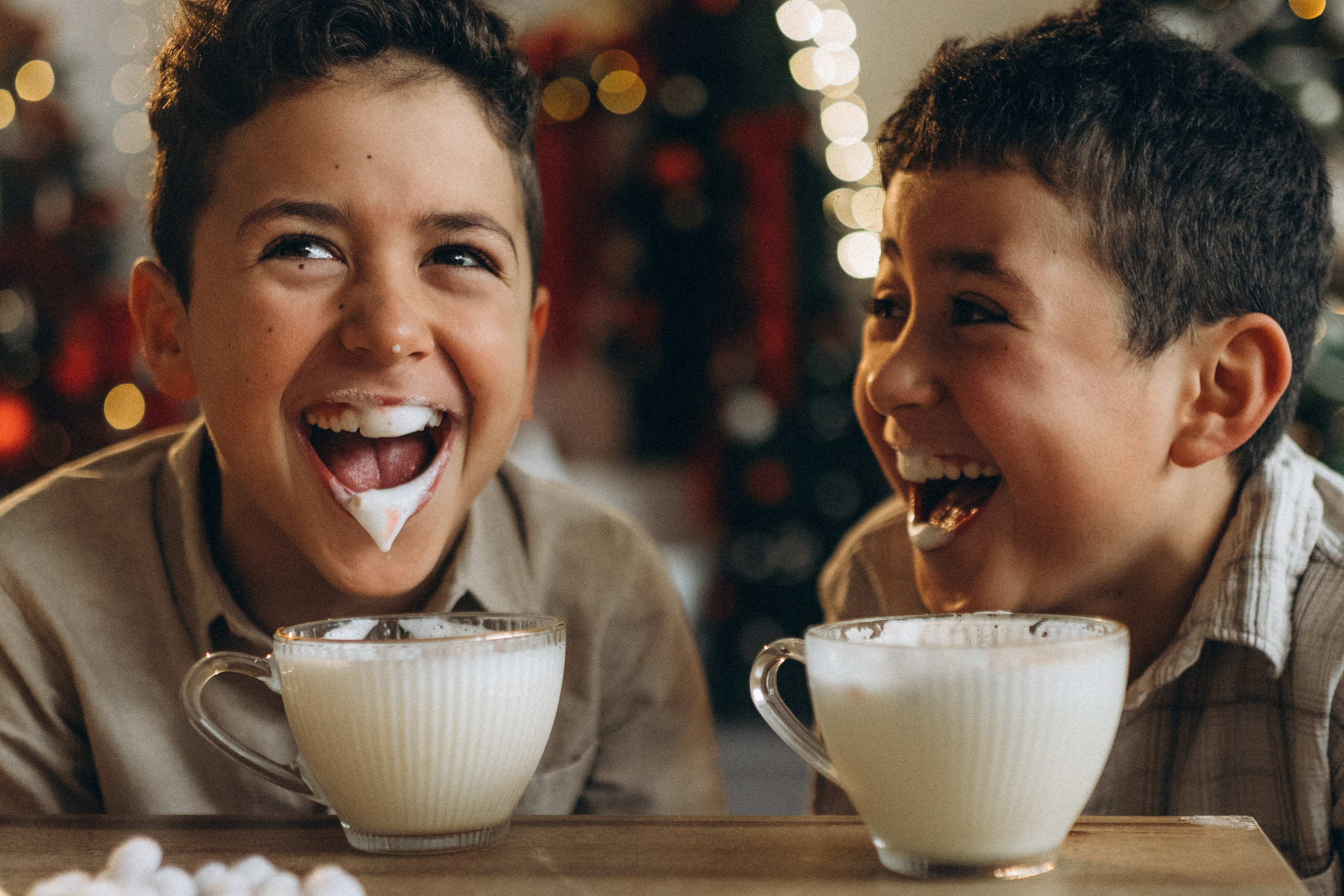 Merry Christmas. Семейный фотограф Лейпциг, Германия