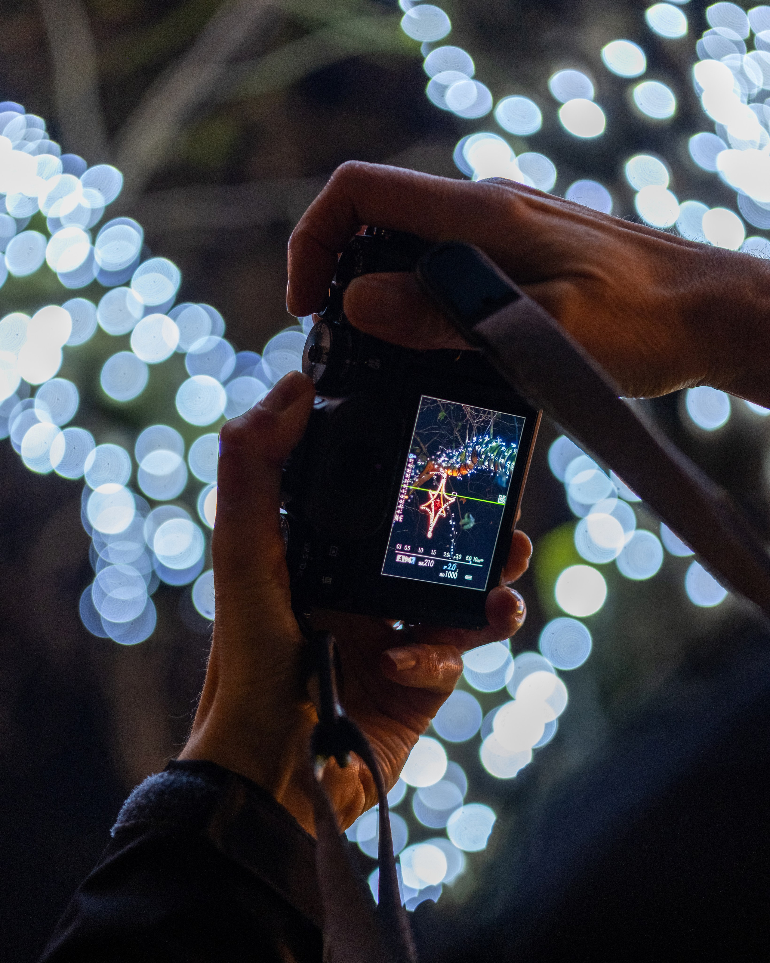 York at Night. Expect Miracles Photography by Kate & Andrew