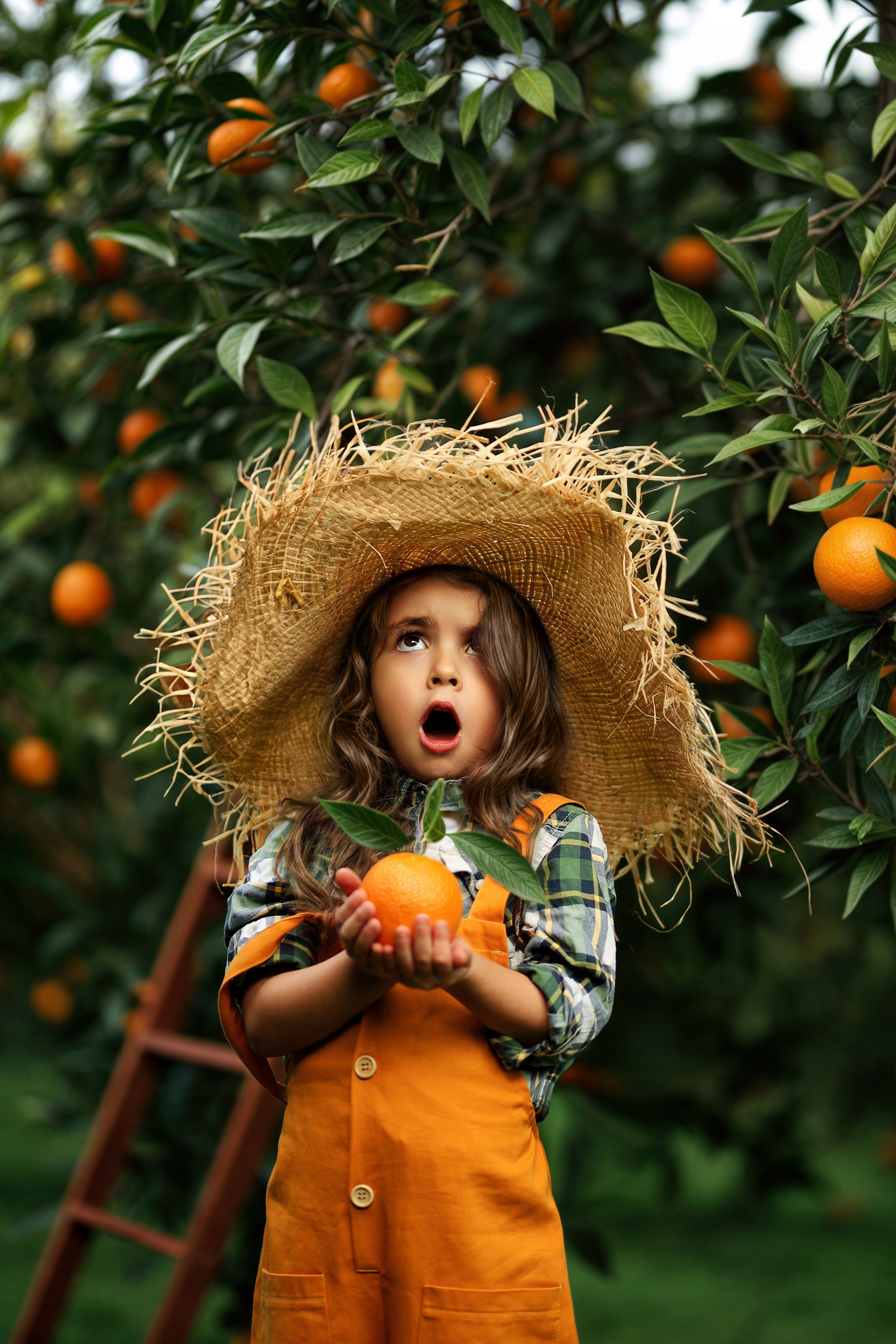 Photoshooting in orange garden. Photographer in Turkey, Antalya, Kemer, Belek, Side, Kas, Fethiye