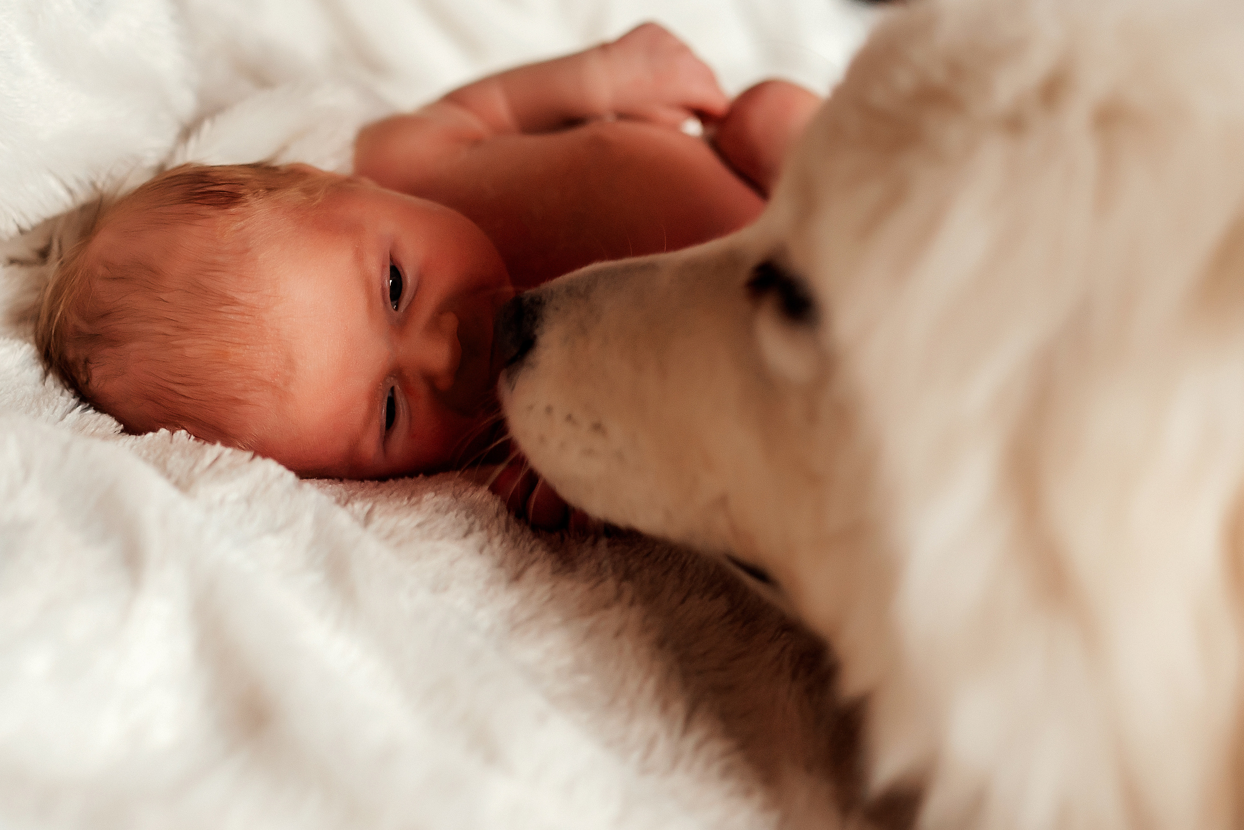 Маленькое счастье. Ваш фотограф в Латгалии — Александра Юхневича!