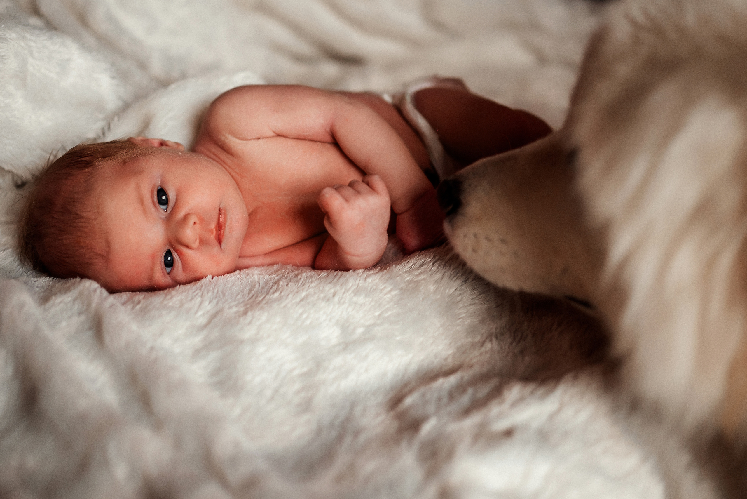 Маленькое счастье. Ваш фотограф в Латгалии — Александра Юхневича!