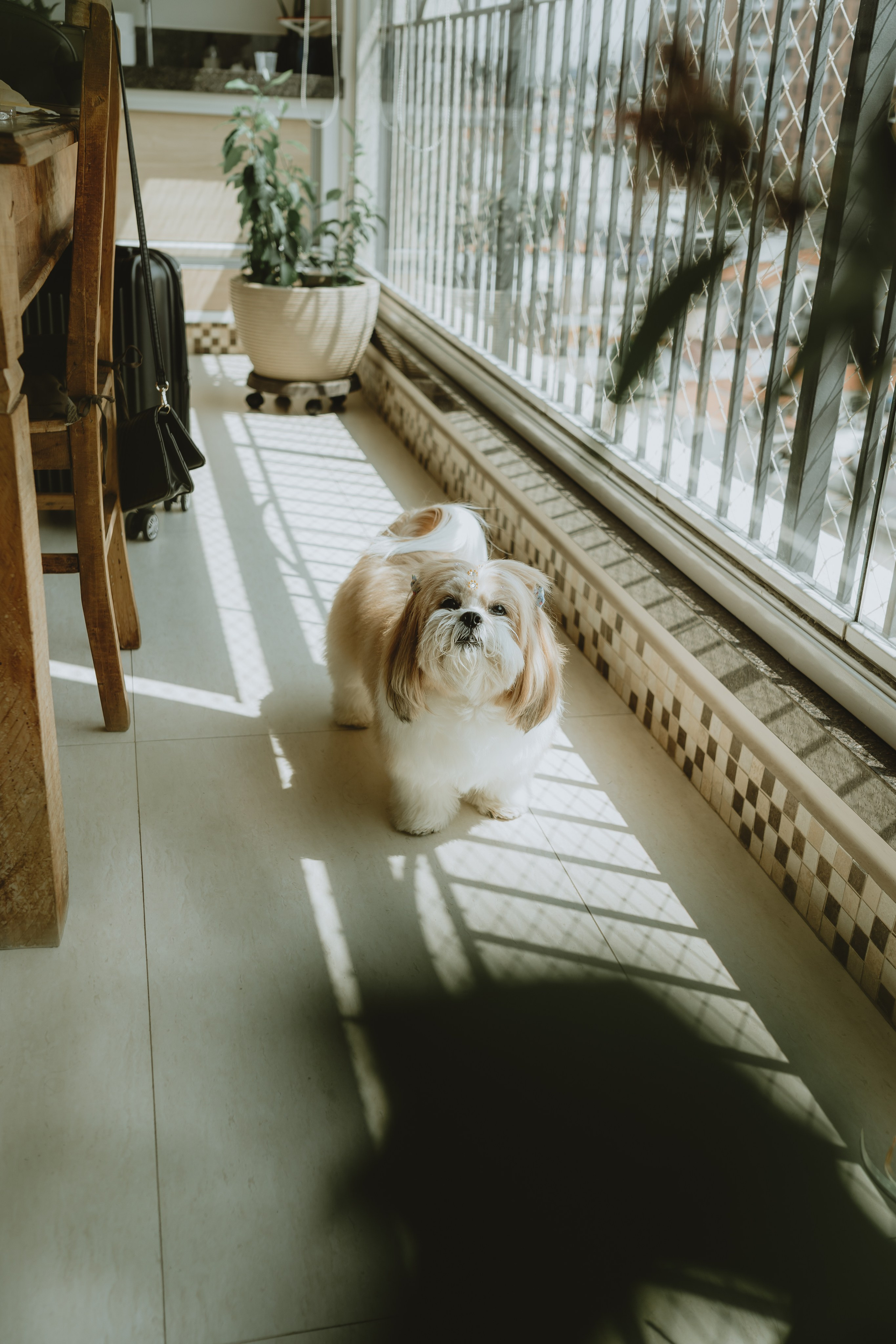 Lamis & Guilherme // Wedding. A Um Passo Fotografia