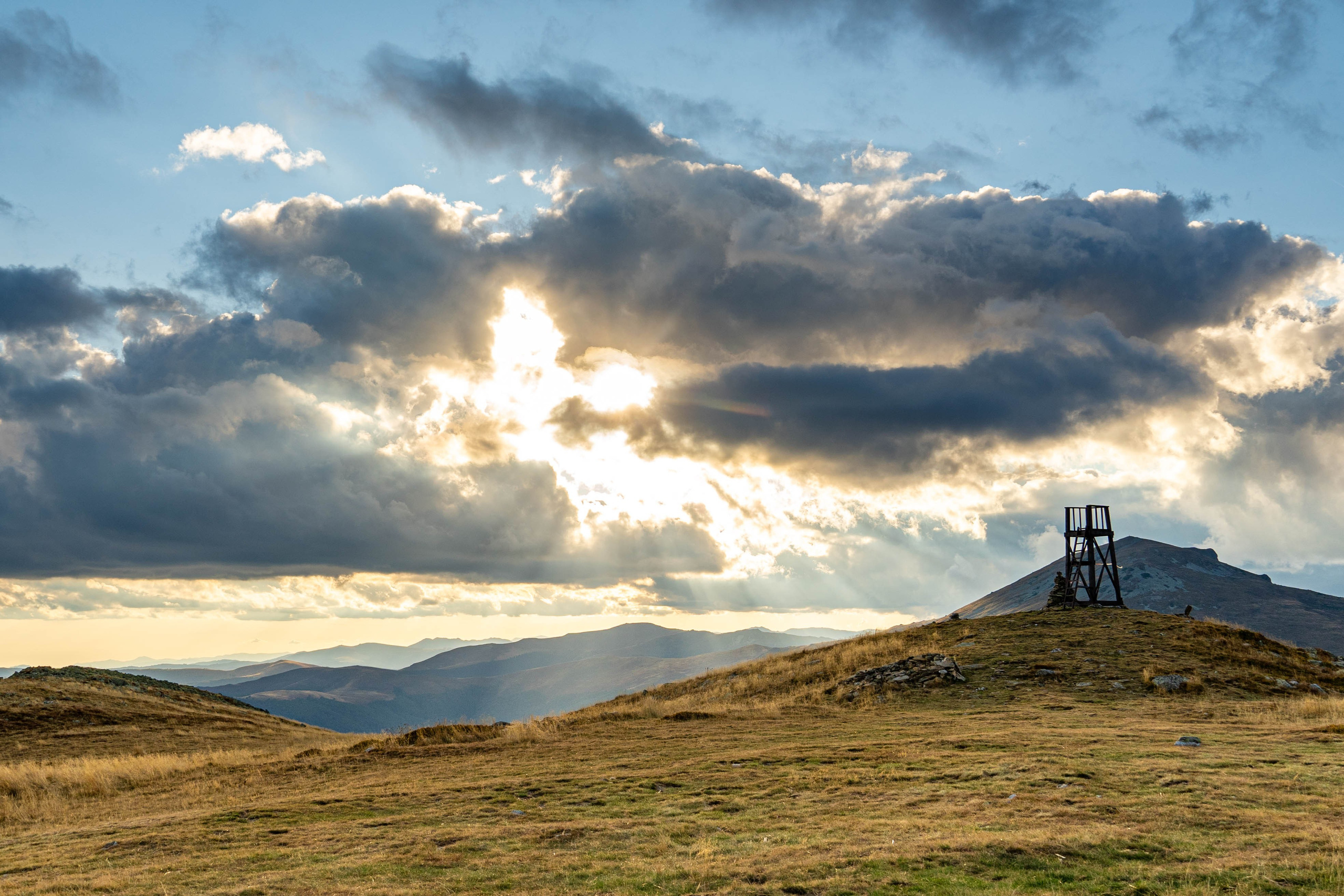 Alecsandru Braicu — Sports Photographer