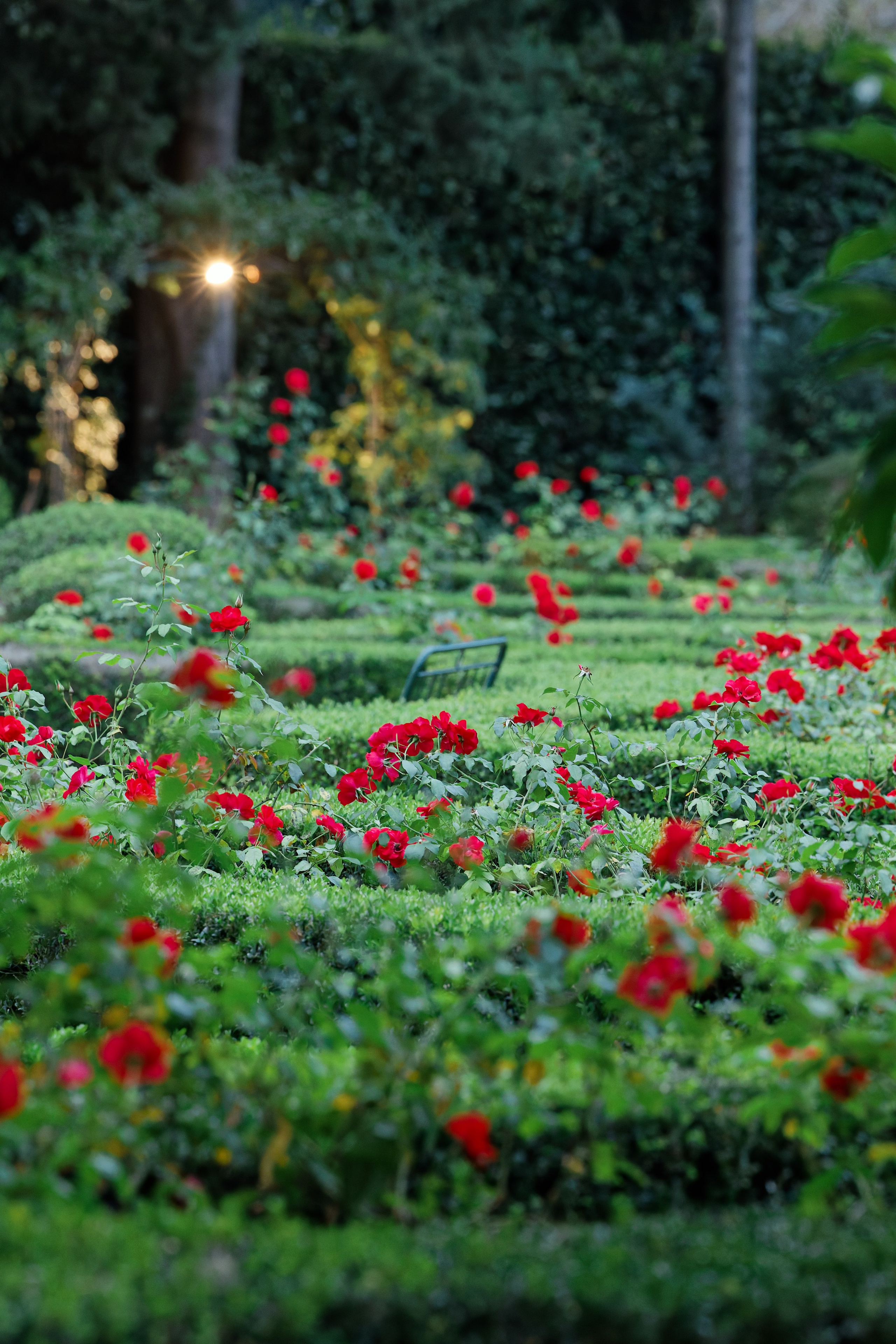 Wedding at Villa Merlo Nero, Florence Preview