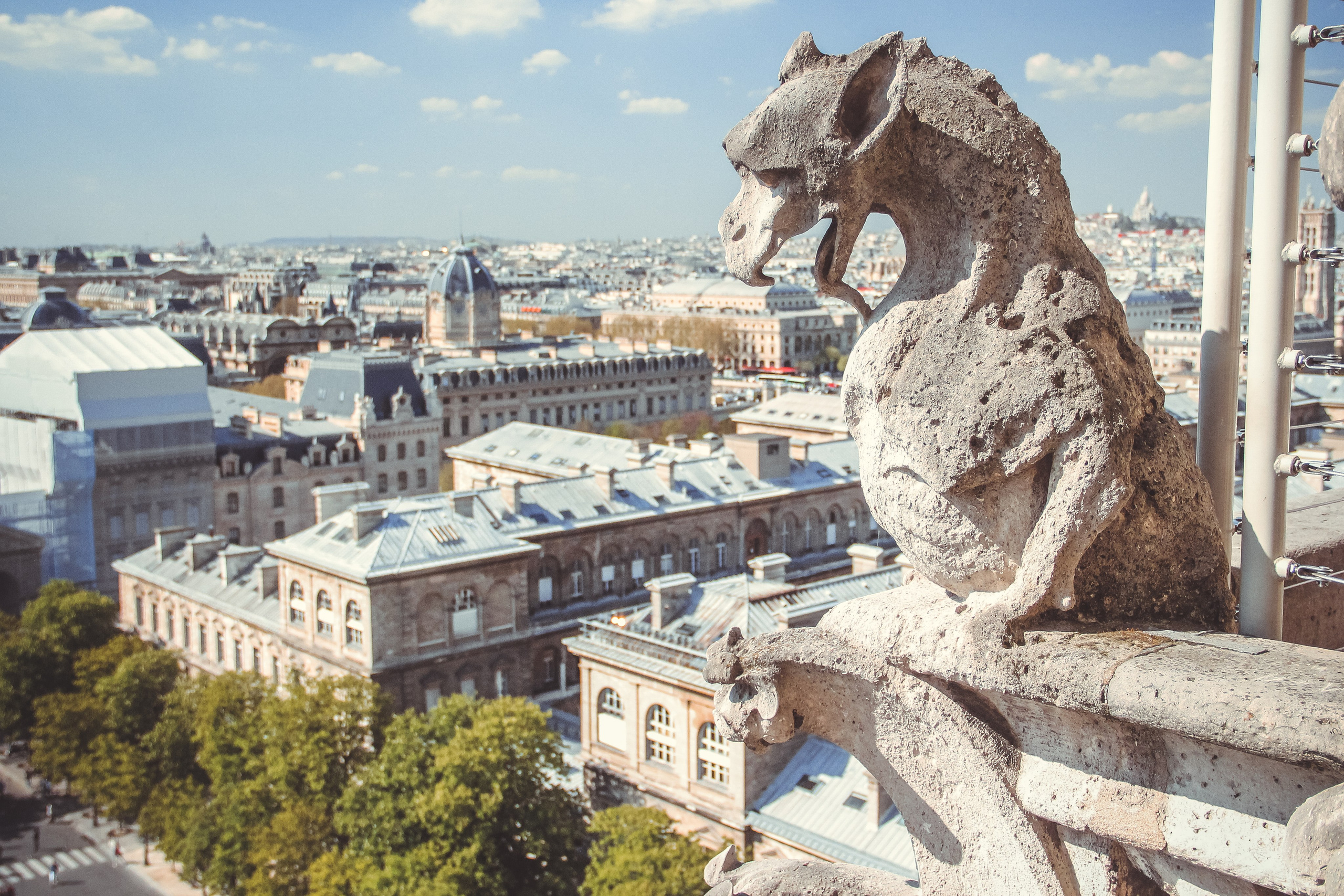 Увидеть Париж десять лет спустя. Фотограф в Германии — Мария Чистякова