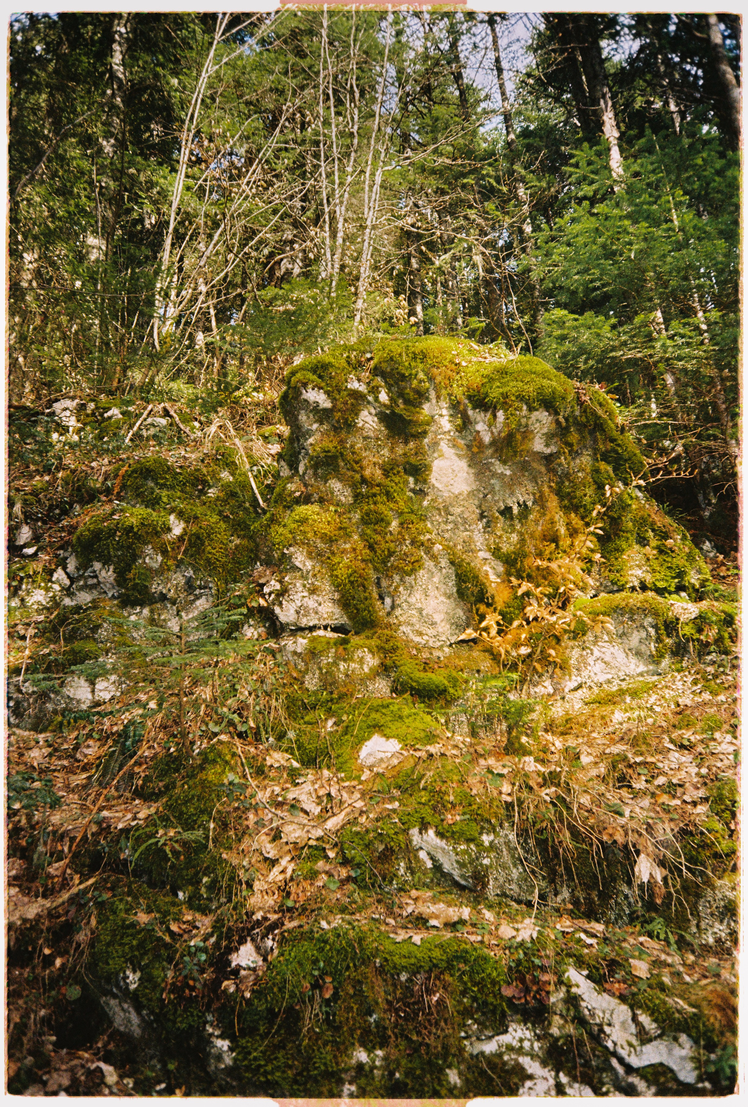 Barely Somewhere Studio | by Veronika Mason-Dehn
