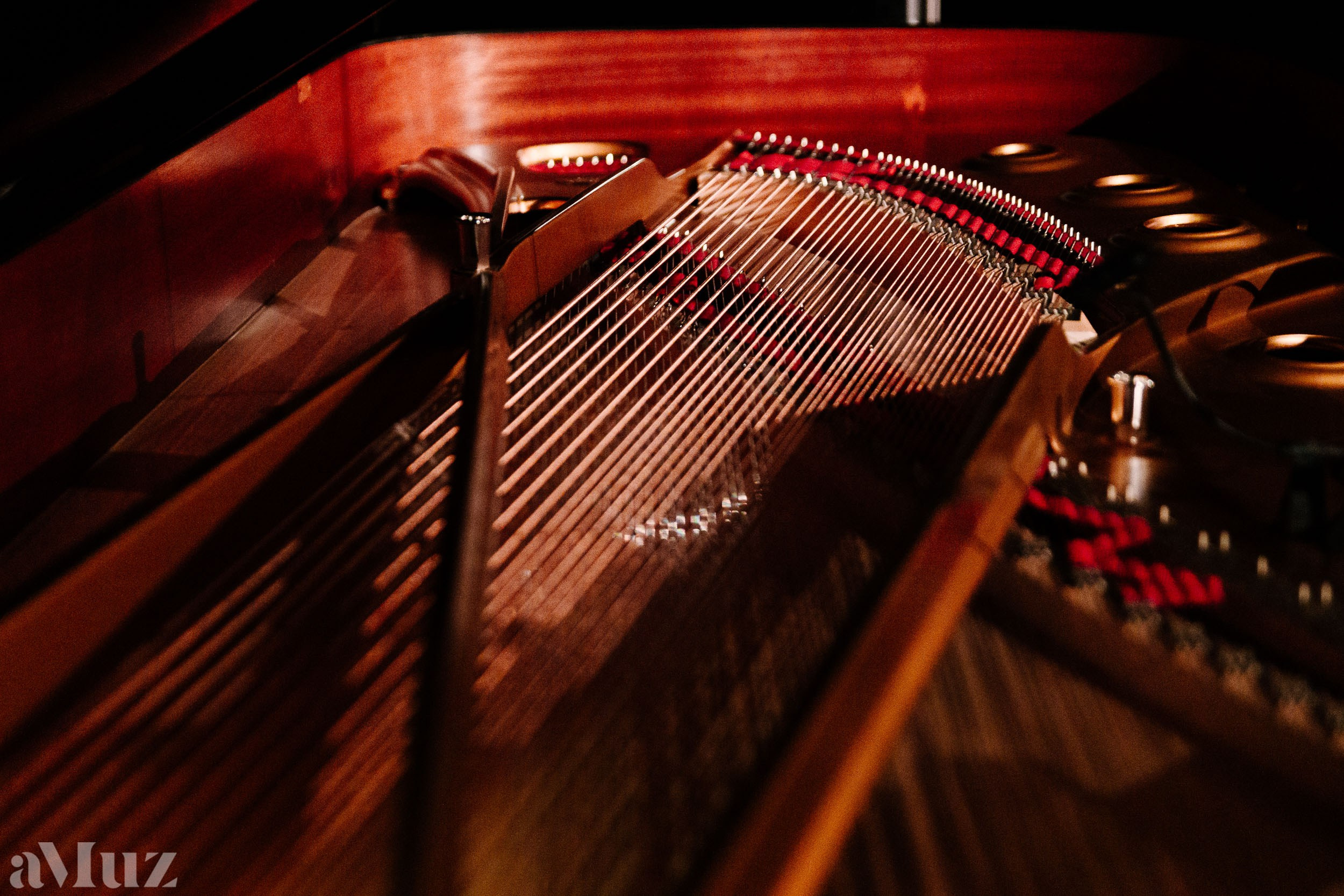 Jazz Zaśpiewam. Fotograf Ślubny Warszawa - Sesje Biznesowe Rodzinne Eventy