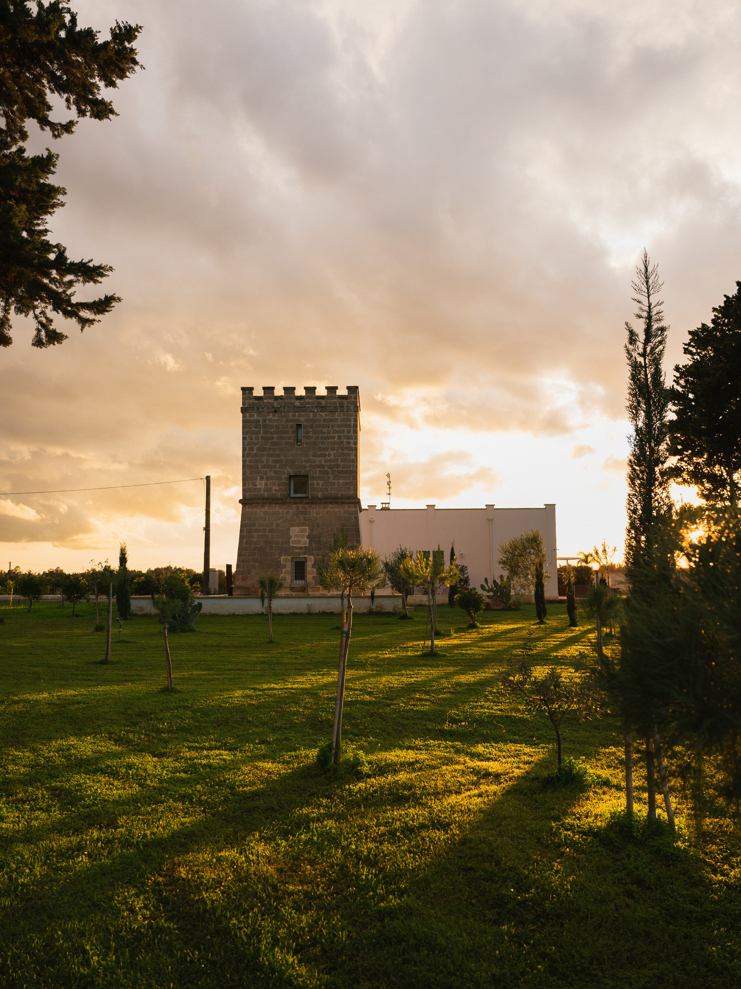 Content | Food | Objects. Alyona Nikolaeva — fotografo a Lecce