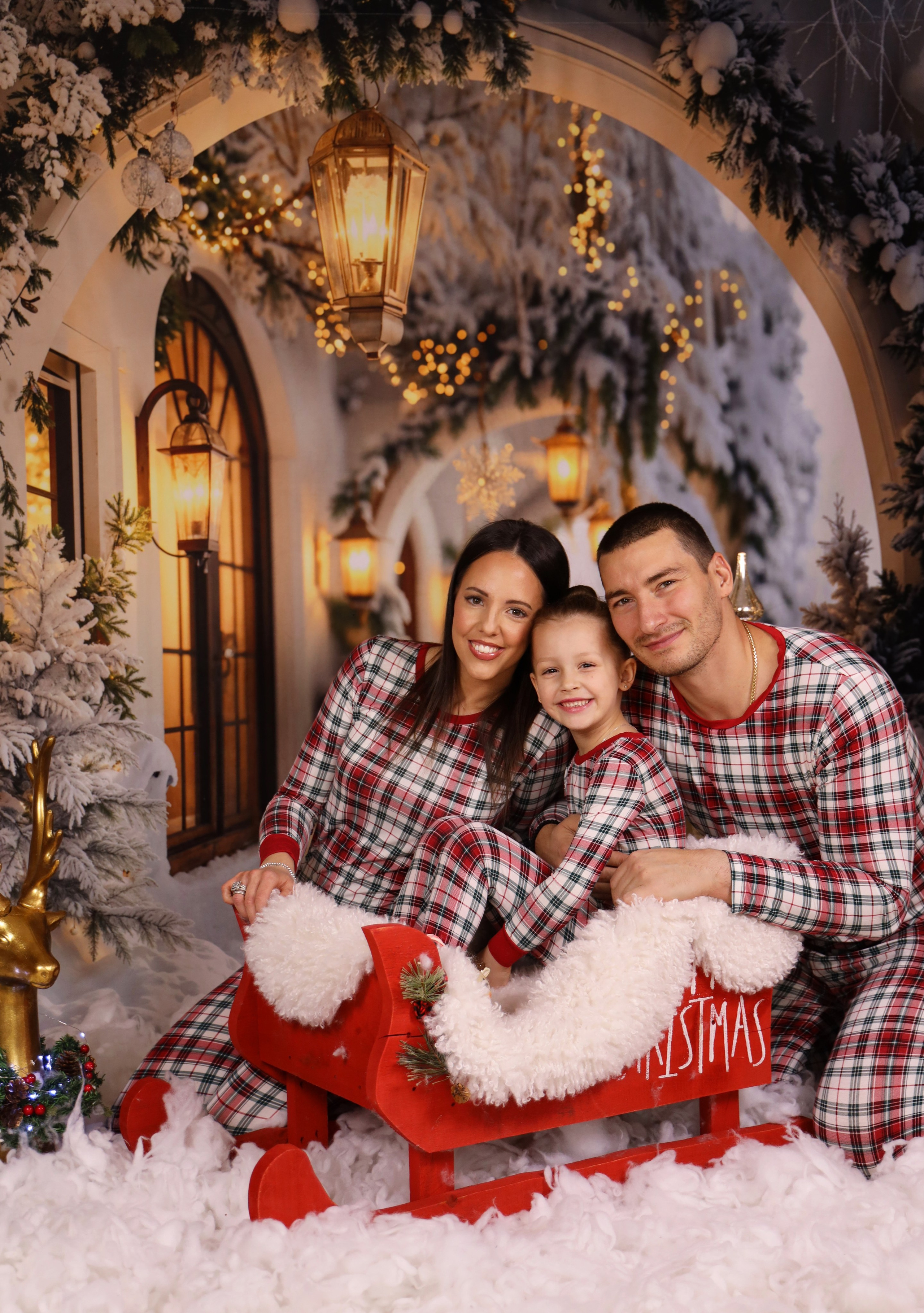 Seasonal studio photography. Alisa Kogan Photography — Families, Love Stories & Events in New York