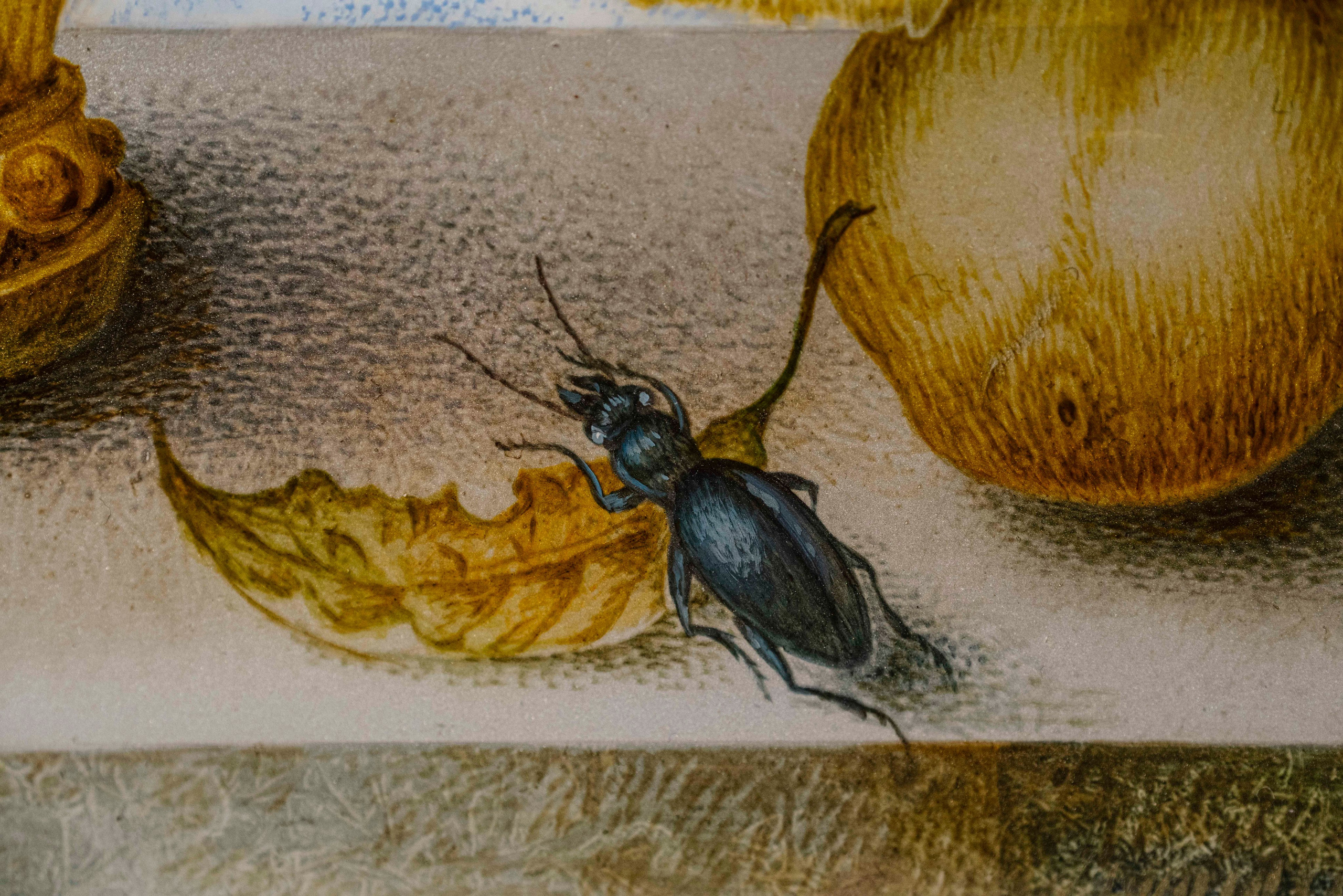 Still Life with a Nest. Marina Rogatova