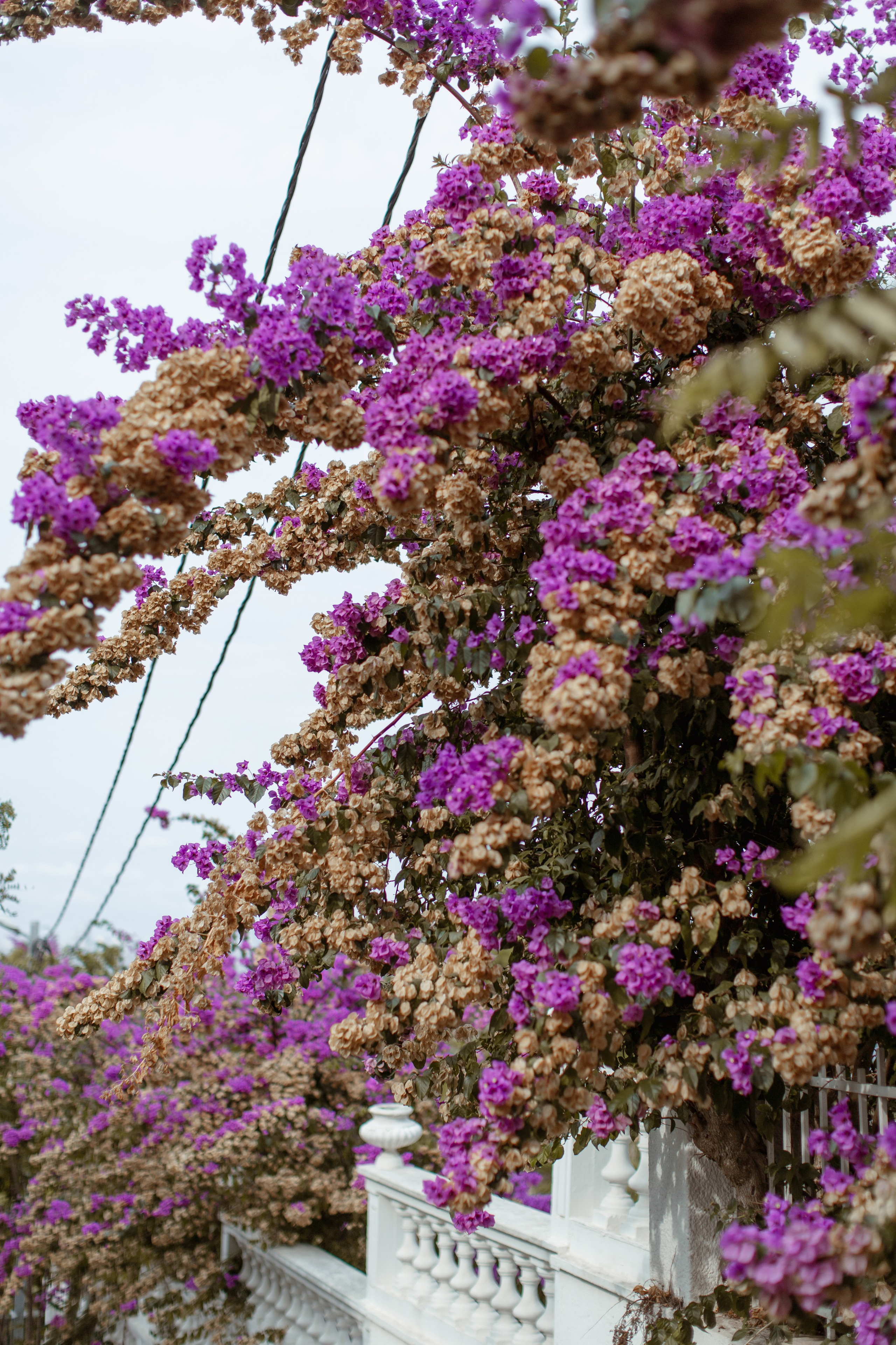 Татьяна. Отпуск на Принцевых островах. True self