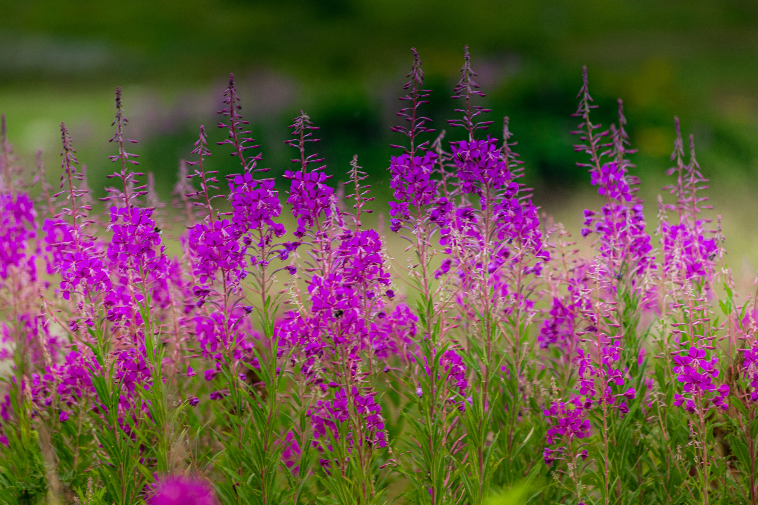 Urban. PHOTOSTORYNIKA