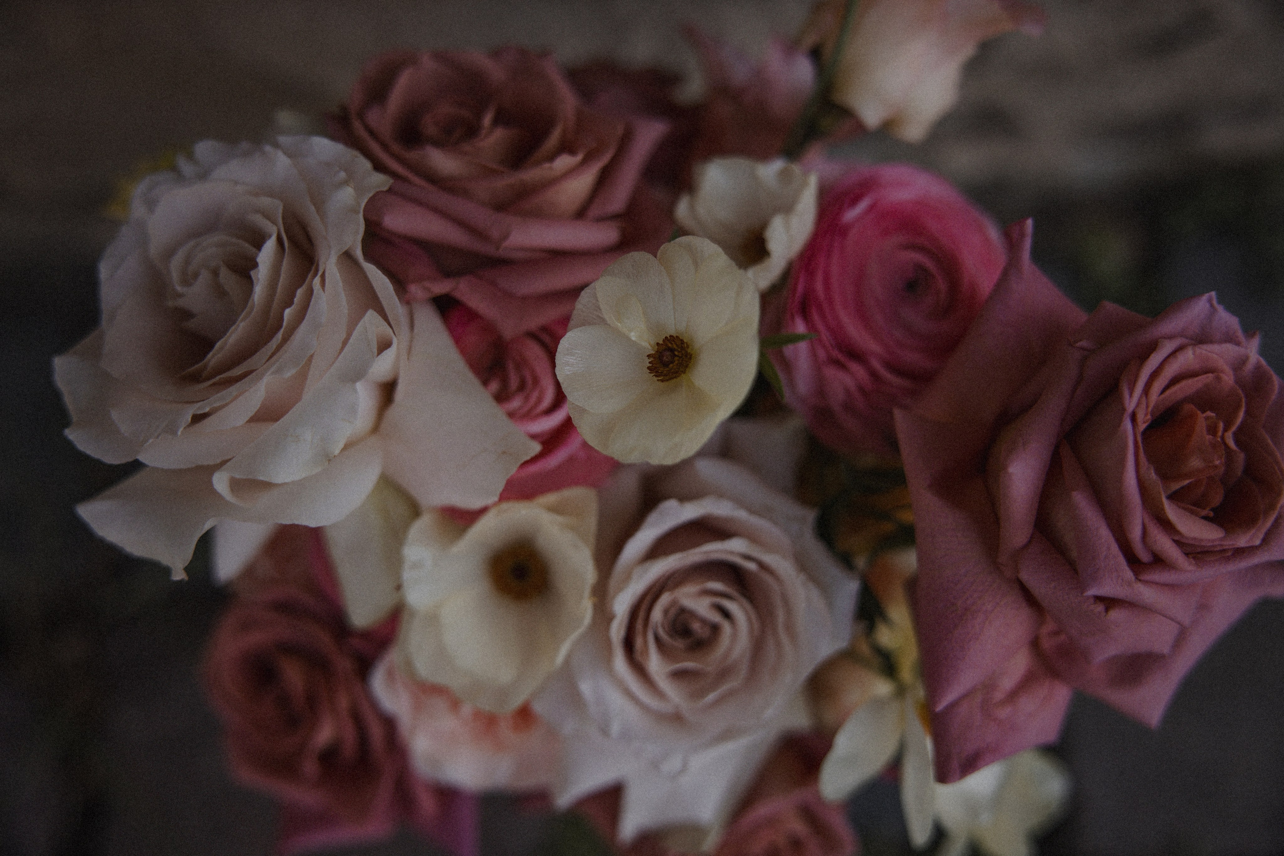 Morena & Niklas I Haus Hohenstein. Hochzeitsfotografin Bochum | Halyna Reiche Fotografie NRW