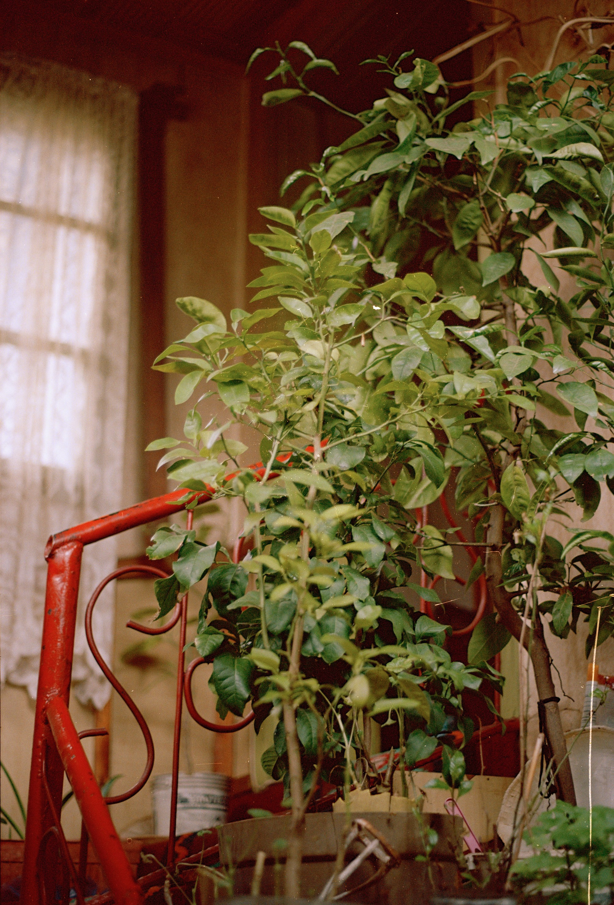 Still Home. Professional Photographer, Videographer in London Dilyana Tankova