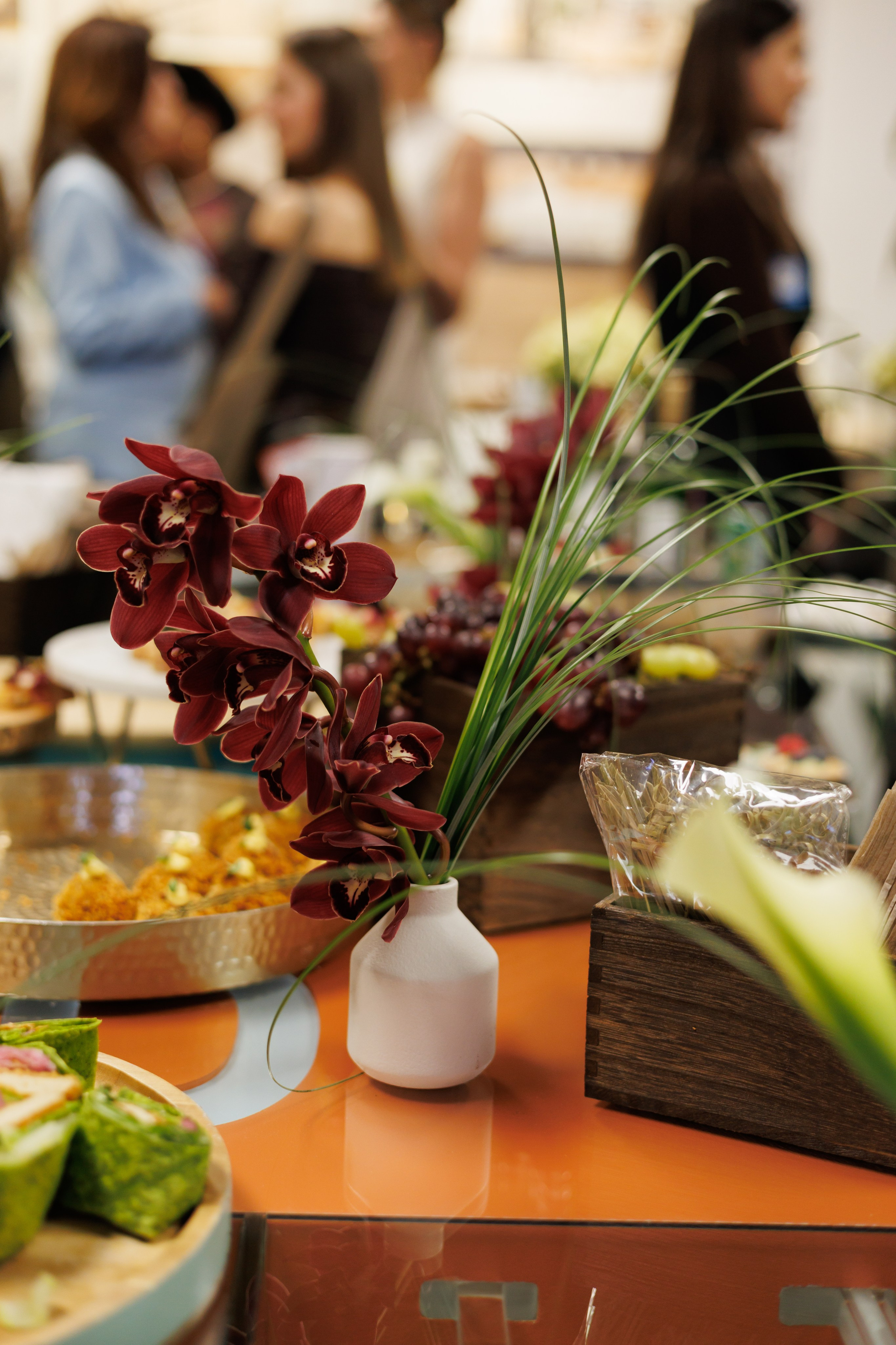 Events. Photographer Ottawa Jane Krasnopolska