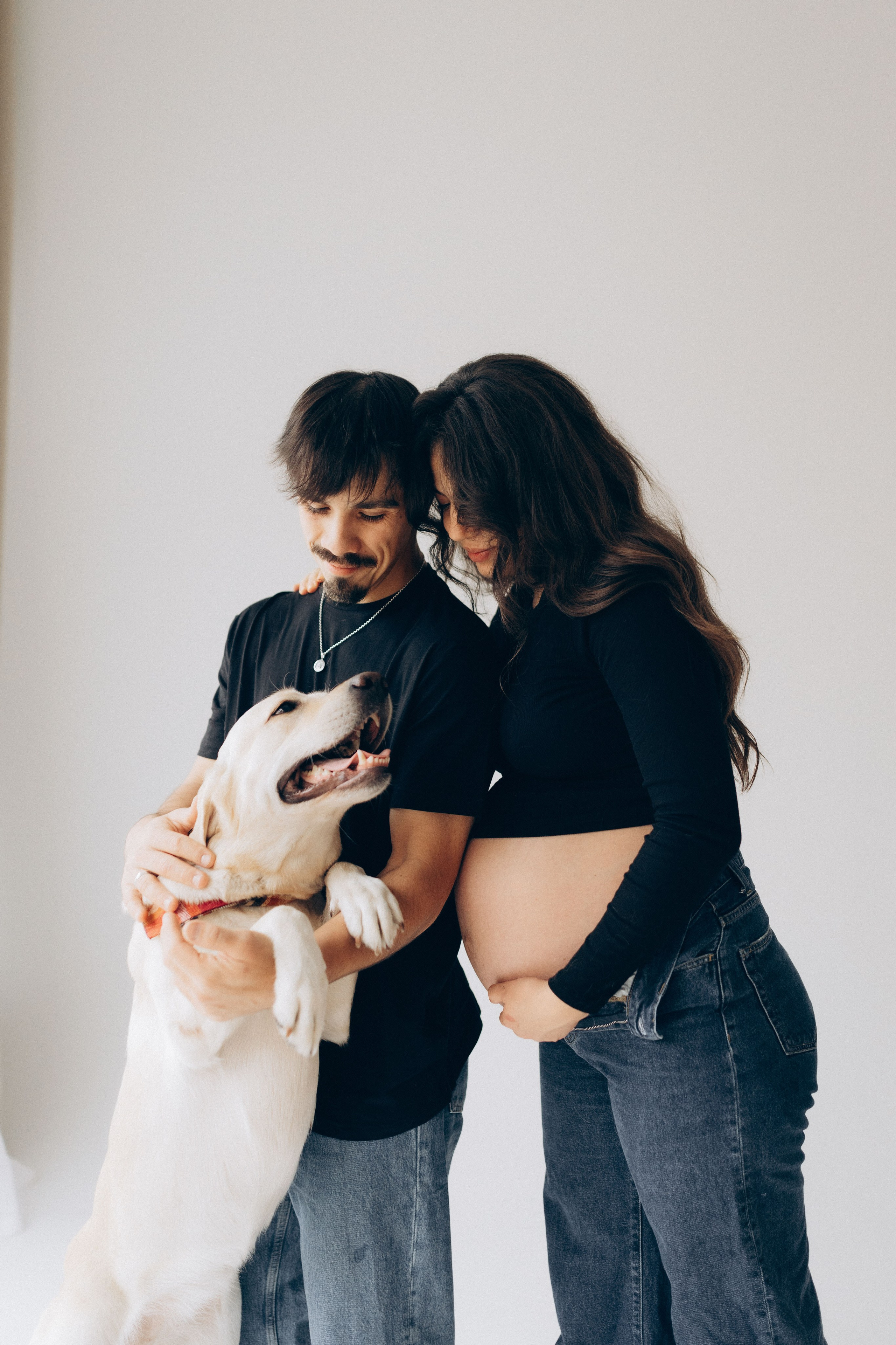 Pregnant Story. Main