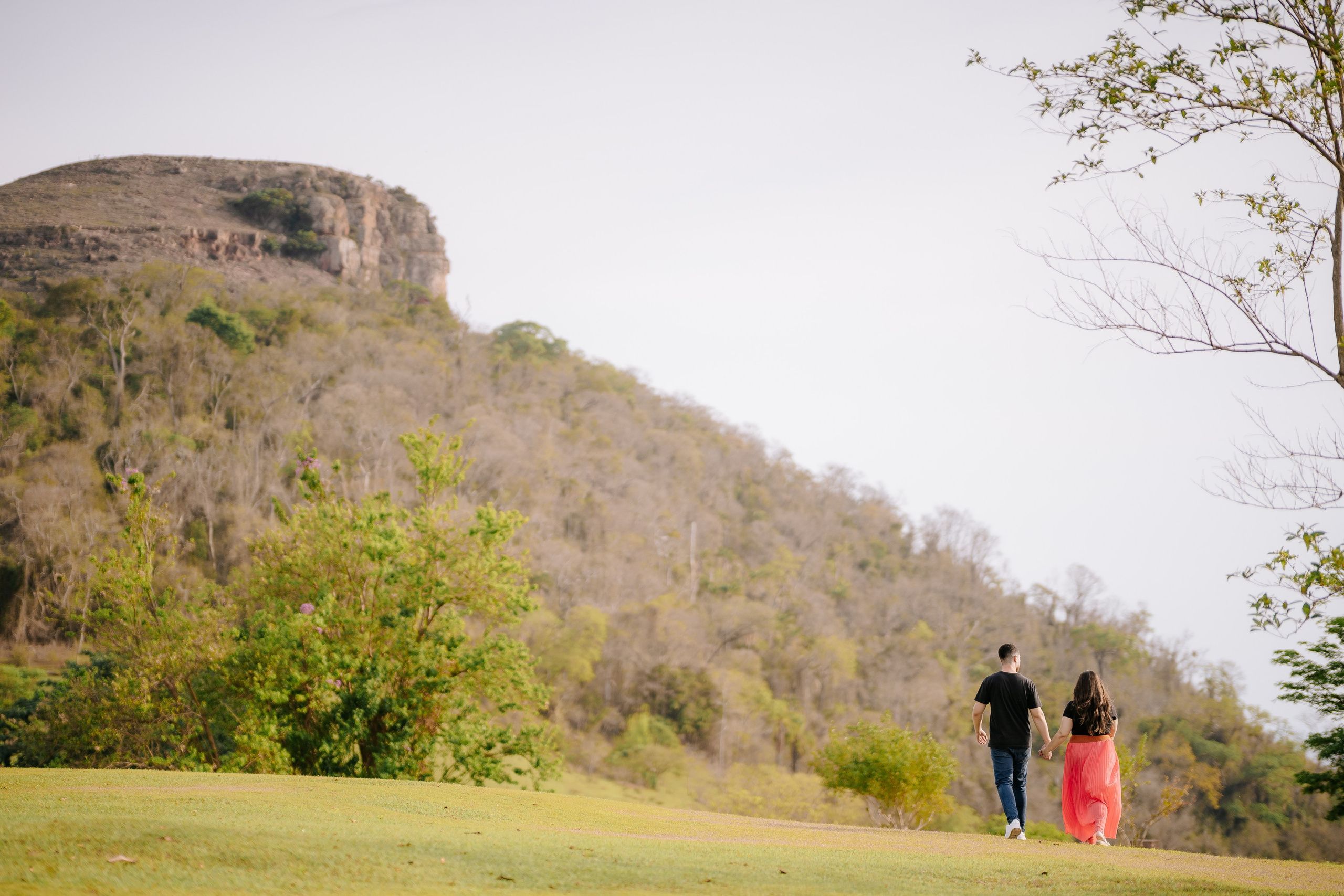 Aline & Daniel — Morro do Gavião / Ribeirão Claro PR. Robson Colaço