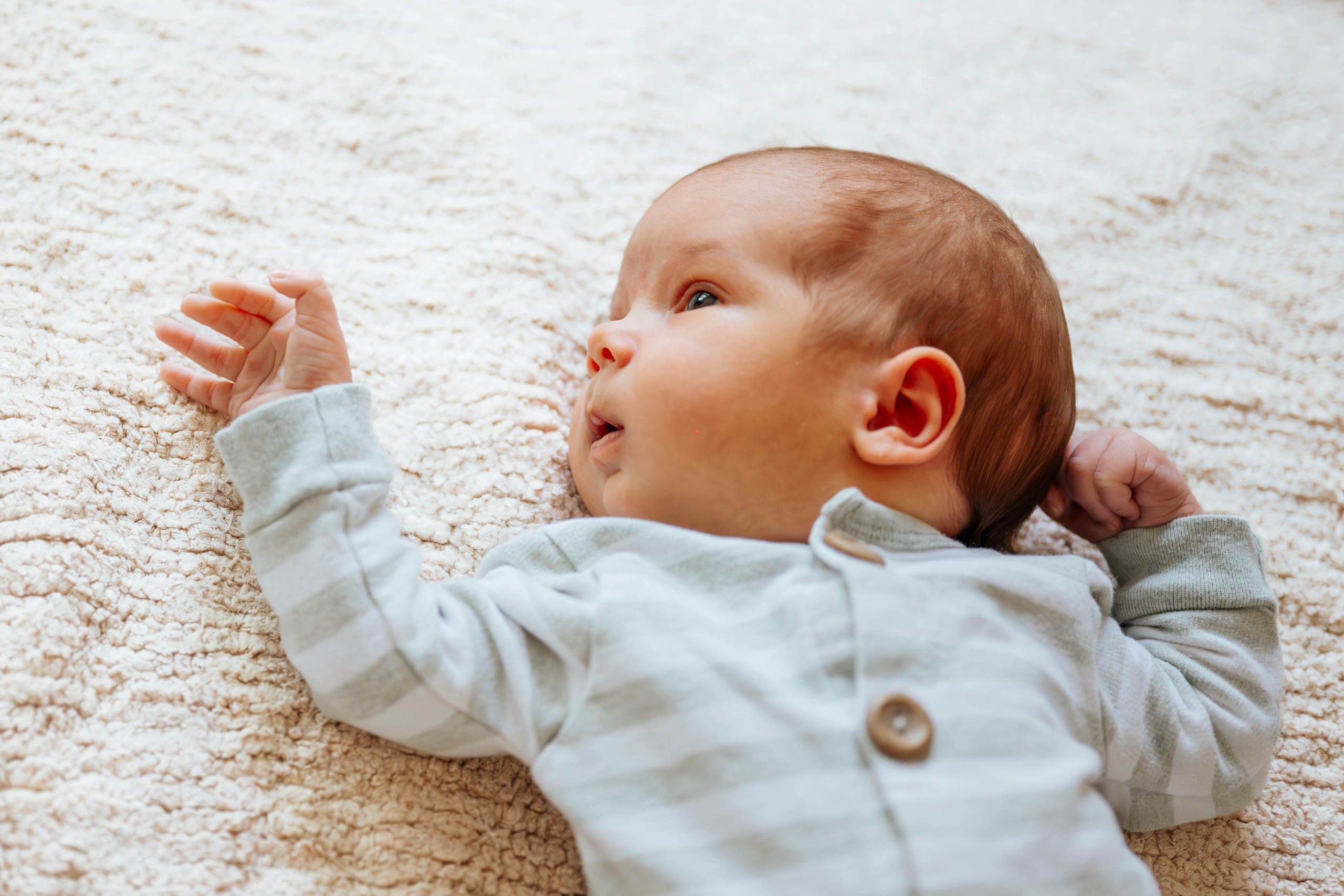 Bojan, Marija, Mihajlo, Viktor i Aleksa - porodično fotografisanje. Dečiji i porodični fotograf